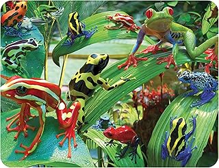 3D LiveLife Magnet - Funky Frogs from Deluxebase. Lenticular 3D Frog Fridge Magnet. Magnetic Decor for Kids and Adults with Artwork Licensed from Renowned Artist, David Penfound