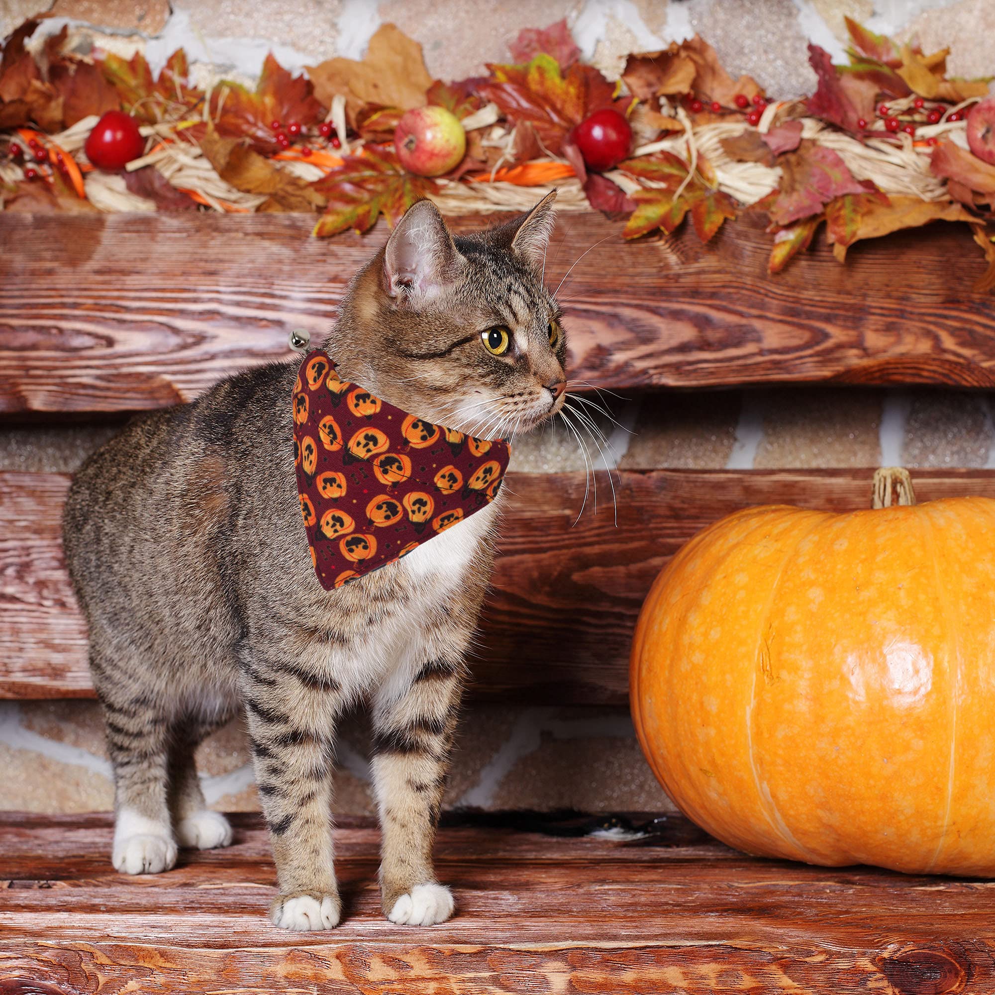 Collares de gato con campana bandana (marrón y morado)