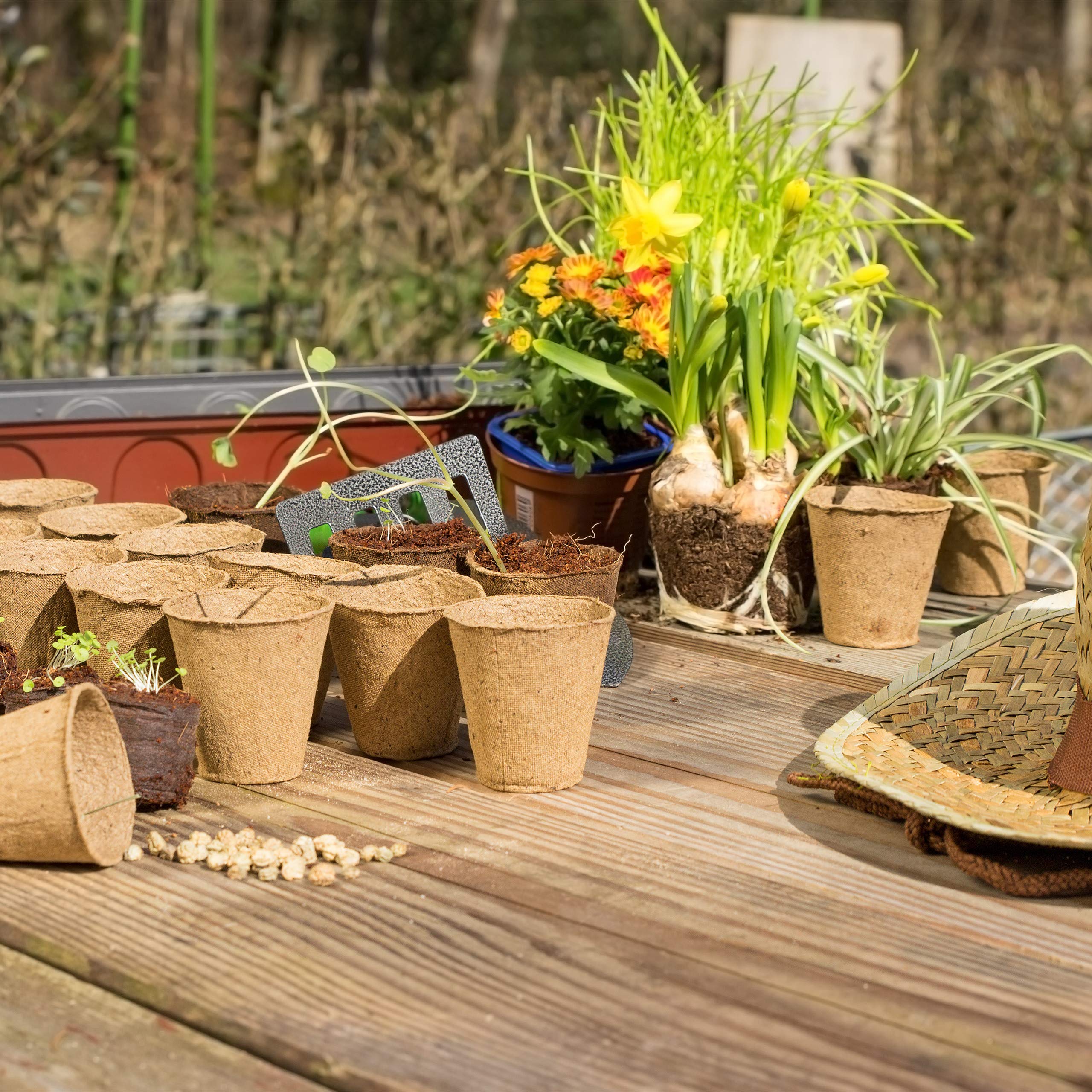 Relaxdays Pot Jardinage en Set, se décompose Facilement, pour Plantes, Rond, 480 pièces, Cellulose, diamètre : 6 cm, Beige