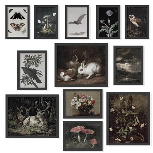 97 Decor Dark Cottagecore Decor - Dark Academia Decors For