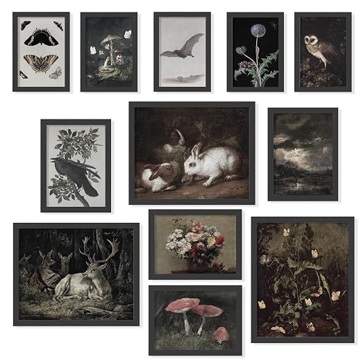 97 Decor 12 Pcs Vintage Wall Art Set - Moody Dark Academia Decor, Victorian Gothic Posters For Room Aesthetic, Antique Gallery Wall Prints For Home, Bedroom, Living Room (Unframed)