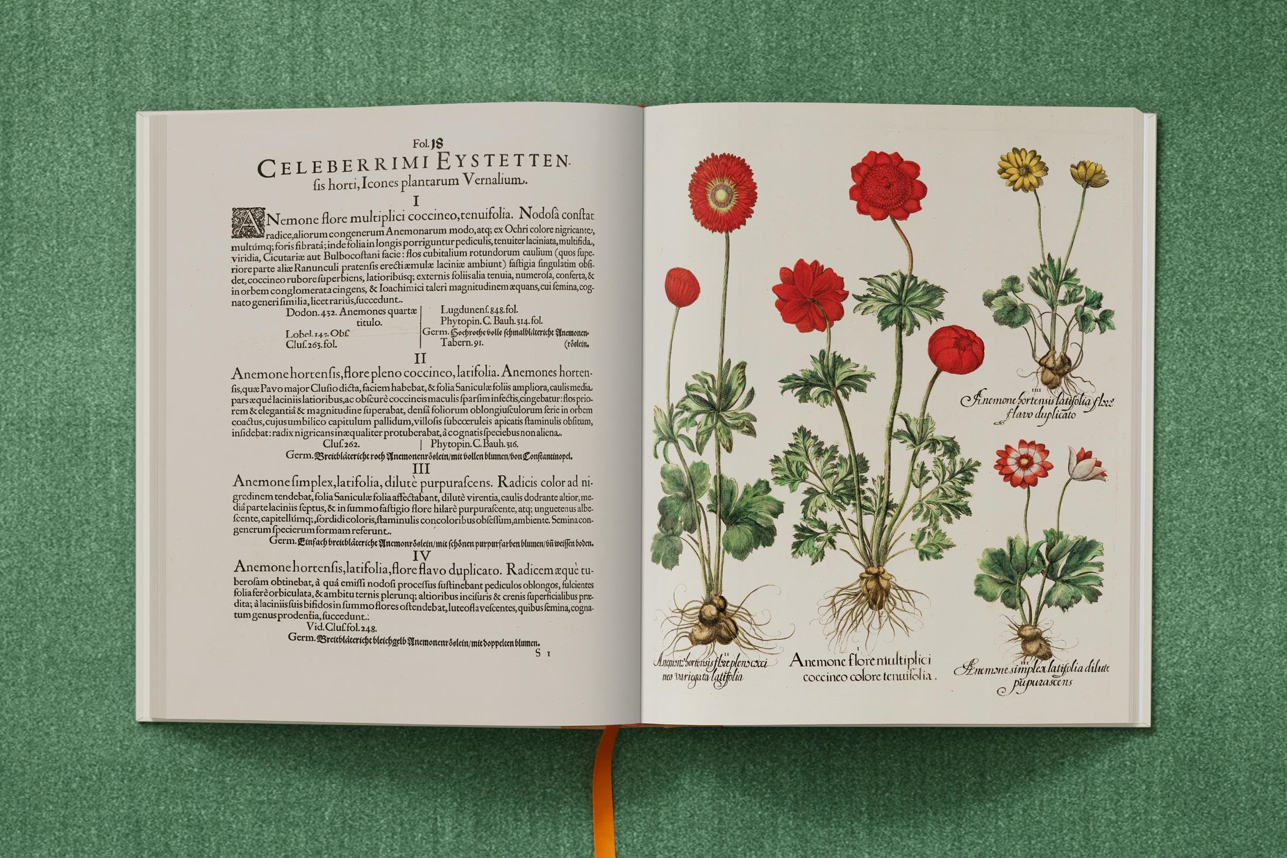 Basilius Besler: The Garden at Eichstätt: 1-3