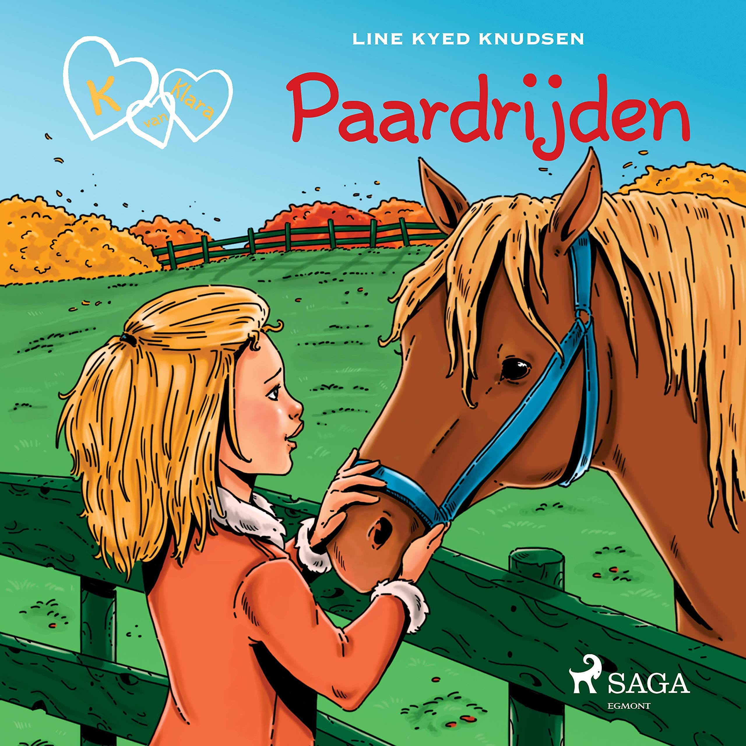 Cover art for Paardrijden