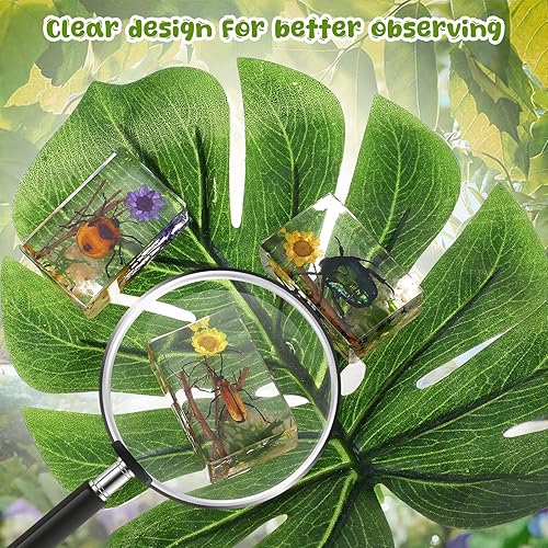 Vista 38 de 12 piezas de insectos en resina colección de insectos de resina de arácnidos, pisapapapeles de diferentes insectos para niños, juguete educativo