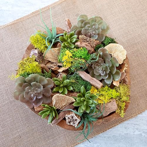 Miniatura 5 de ANDALUCA Popurri con fragancia de musgo, cristal y madera flotante de 20 onzas con aromas de sándalo, musgo, eucalipto y madera de teca, incluye