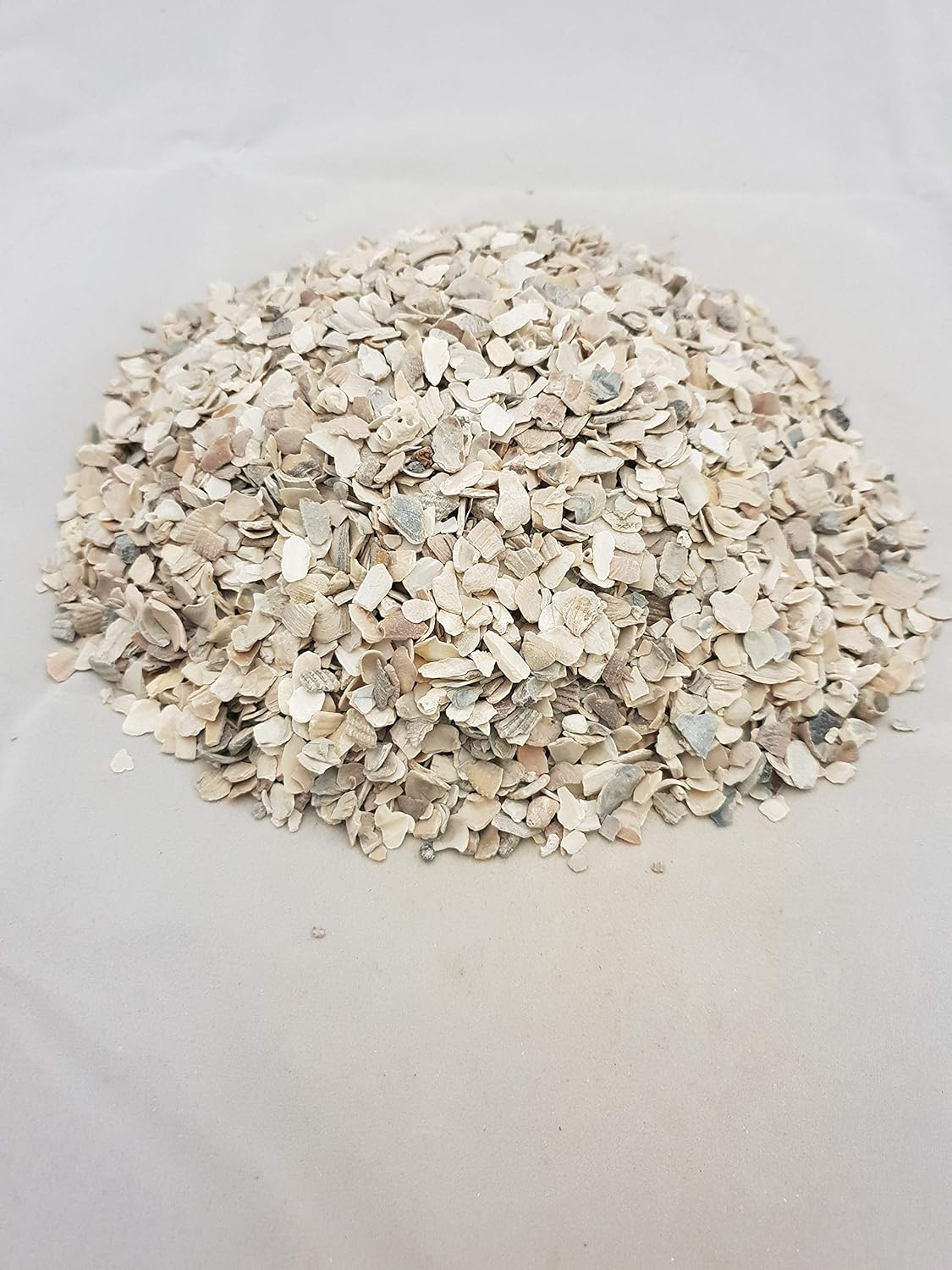 Maltby's Stores Hen Sized Oyster Shell Grit for Chicken Poultry, 20 kg