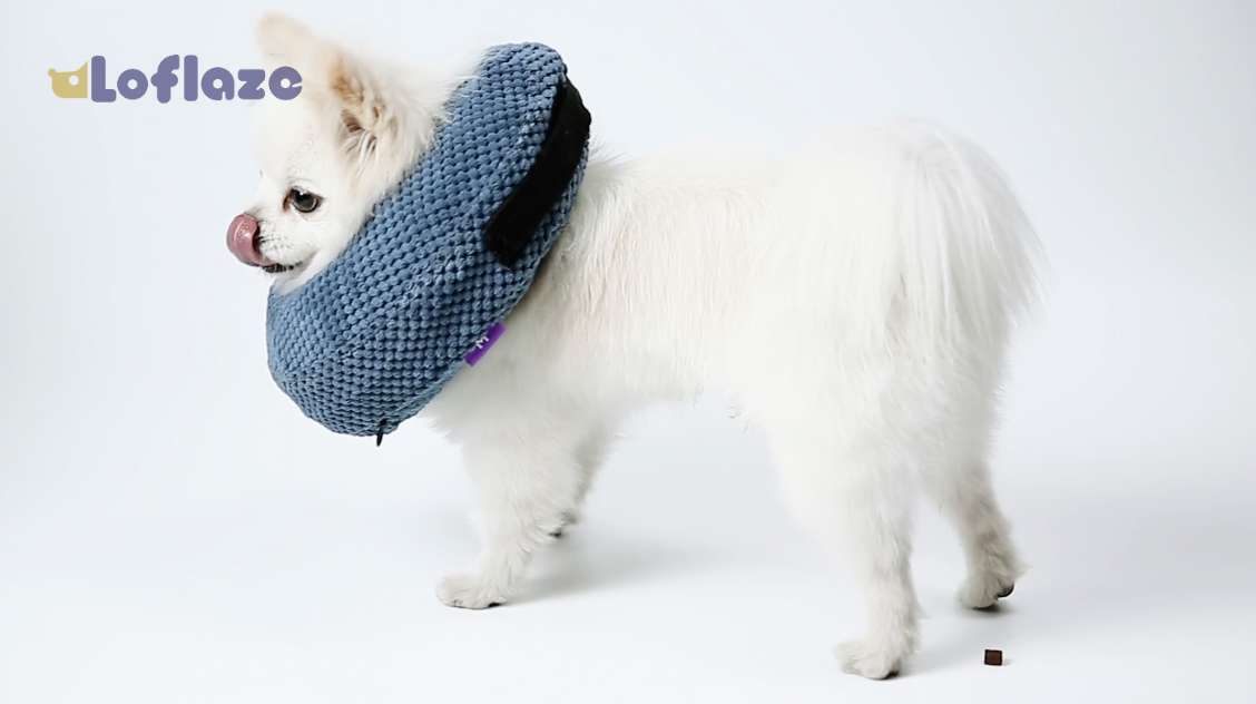 I Love Idaho Dog Cone Collar Flexible Cone for Dogs After Surgery Comfy Eli : Loflaze Soft Inflatable Dog Cone for Large Medium