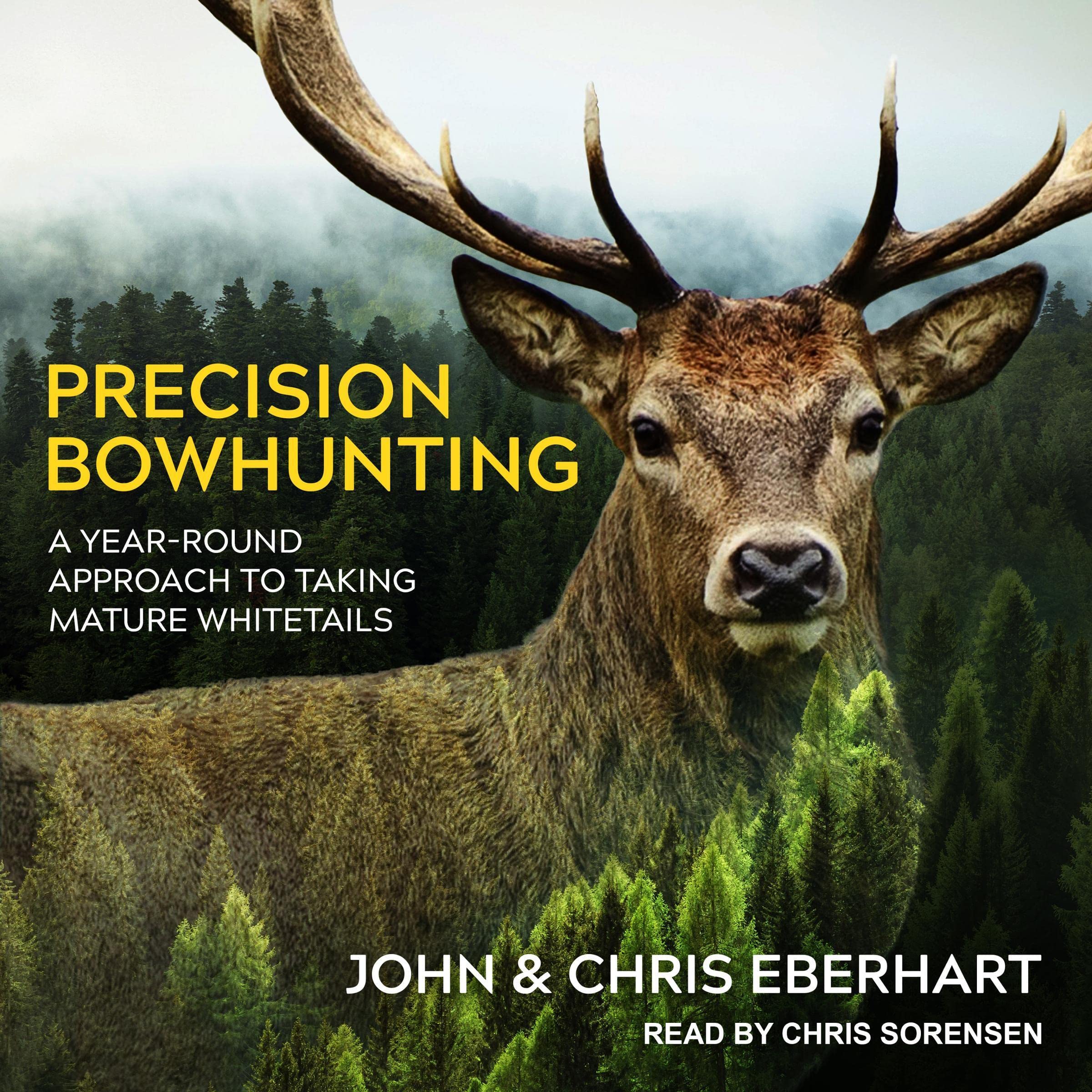 Cover art for Precision Bowhunting