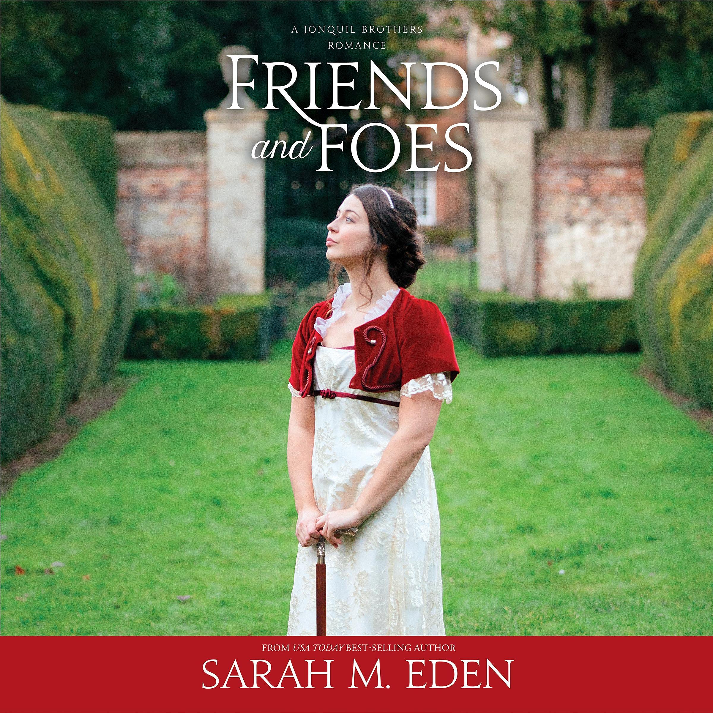 Cover art for Friends and Foes