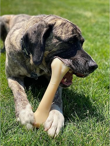 Miniatura 3 de Nylabone Masticables Big Power juguetes masticables para perros grandes para perros XXL grandes