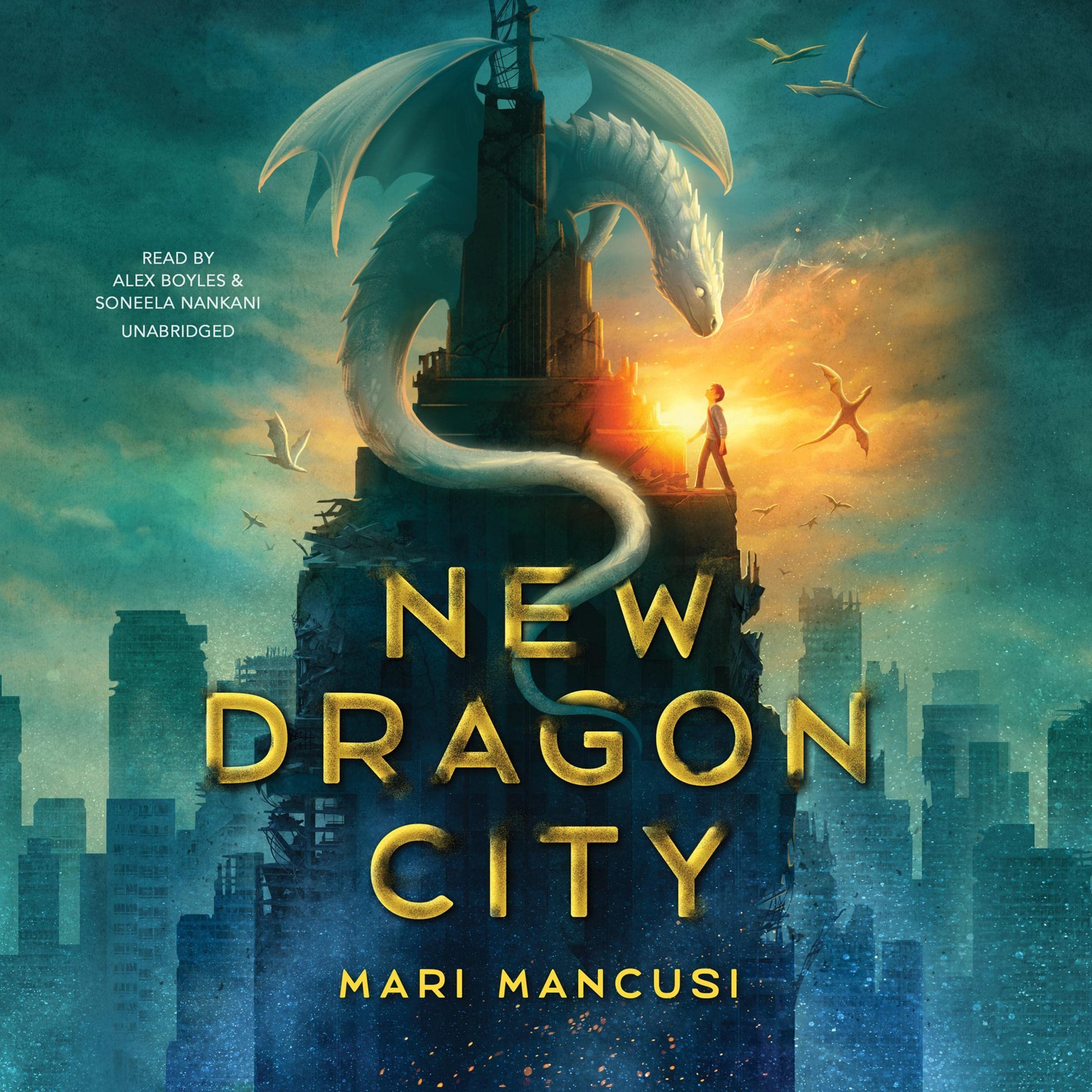 Cover art for New Dragon City