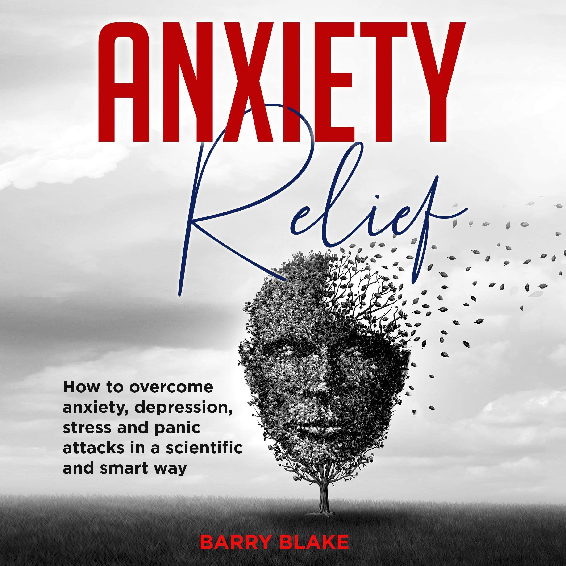 Cover art for Anxiety Relief