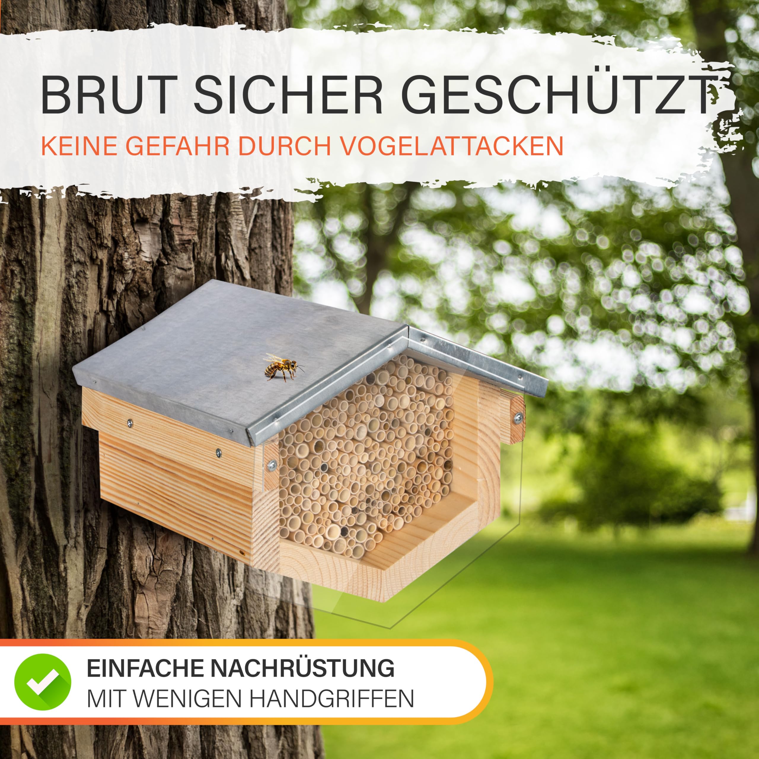 Beesi Wildbienenhotel mit Vogelschutz I Dach wetterfest I Nisthülsen aus Bambus I hochwertiges Insektenhotel I ohne Splitter mit Acrylgrlas Vogelschutz (Schilf - Für kleinere Bienen, Brown)