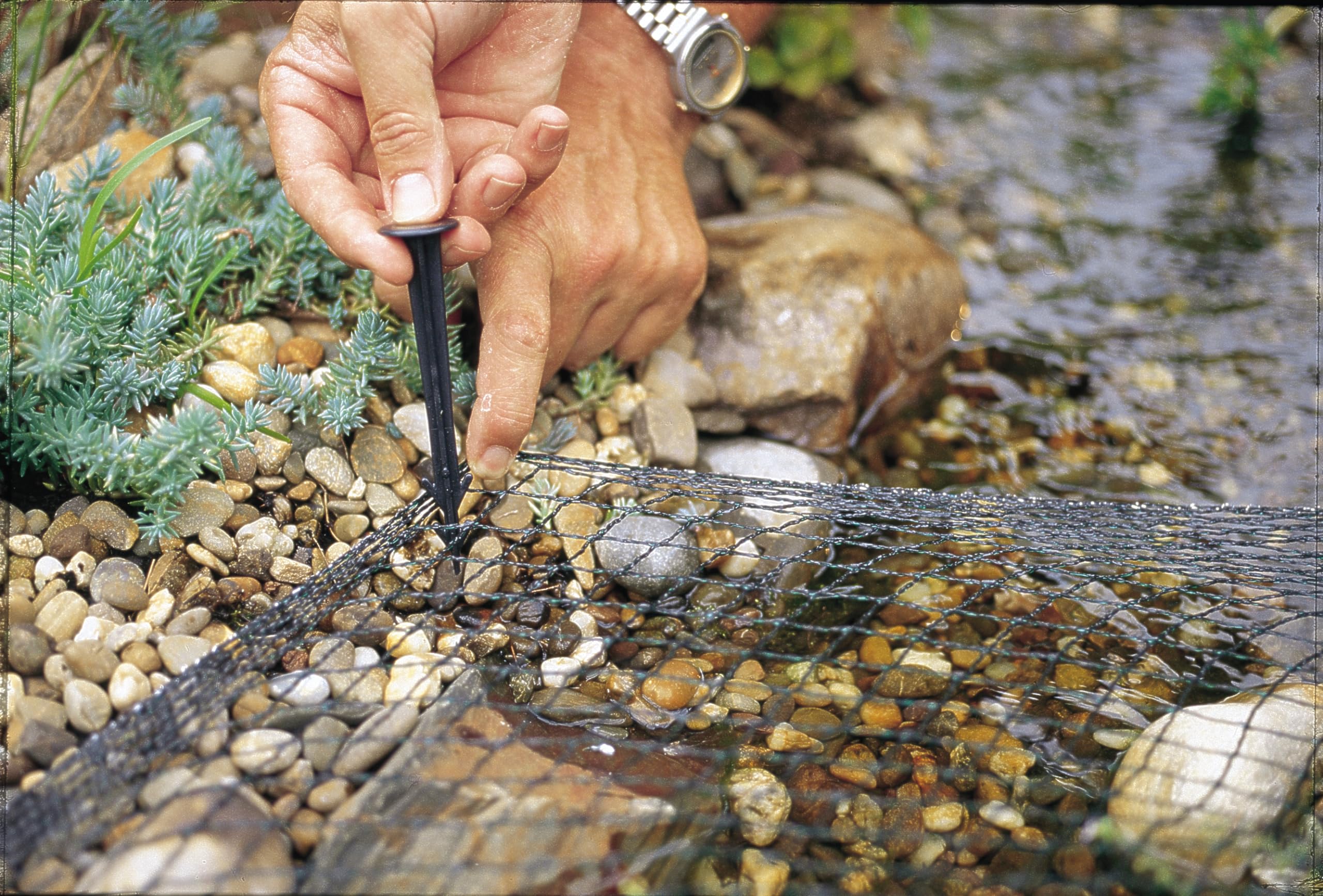 Oase 53752 Aquanet Teichnetz 2 - schützt Teiche vor Blättern und Laub, Verwendung als Vogelschutznetz an Bäumen und Sträuchern, Teichgröße bis max. 4 x 8 m, Grün