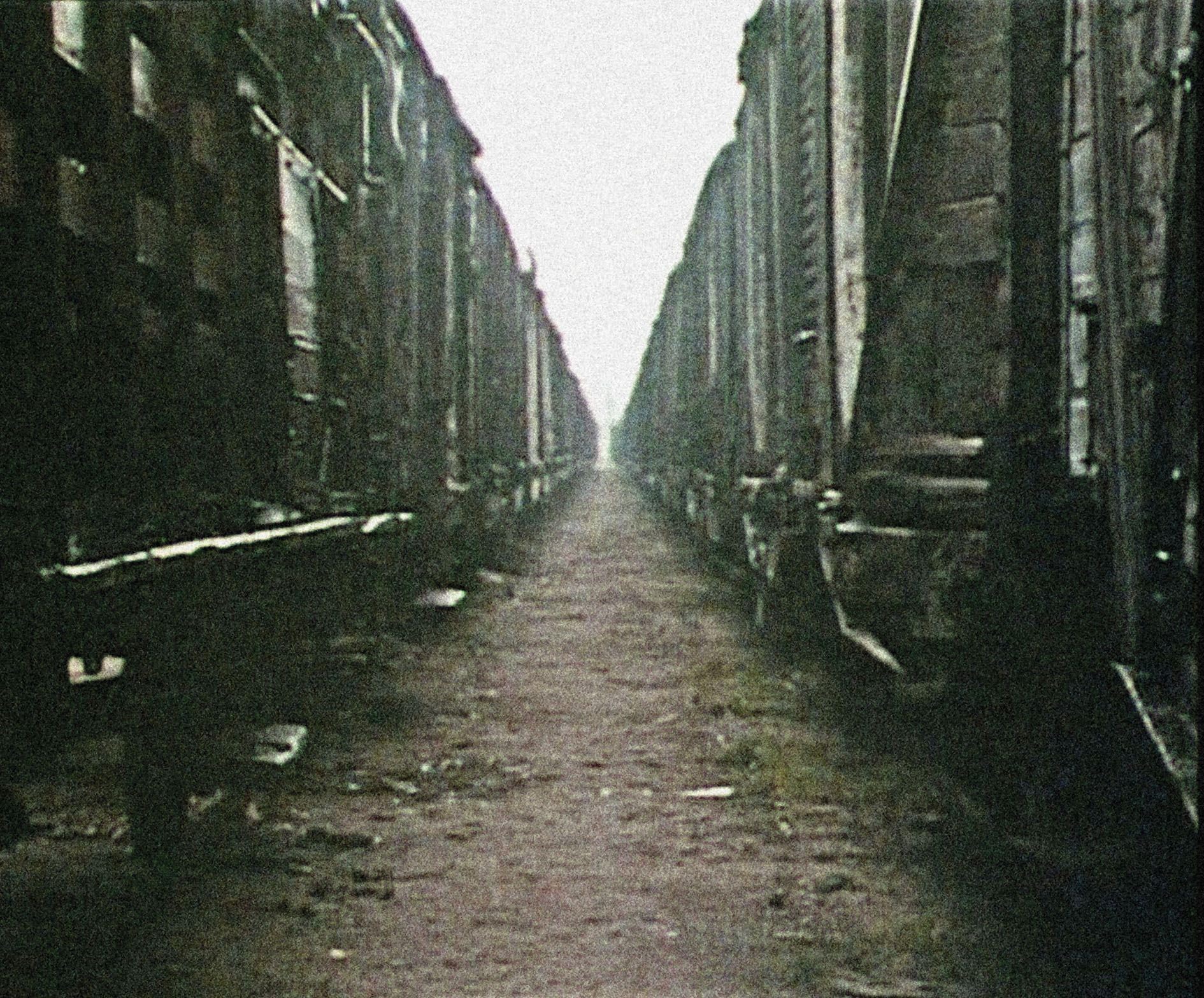Shoah Neuauflage