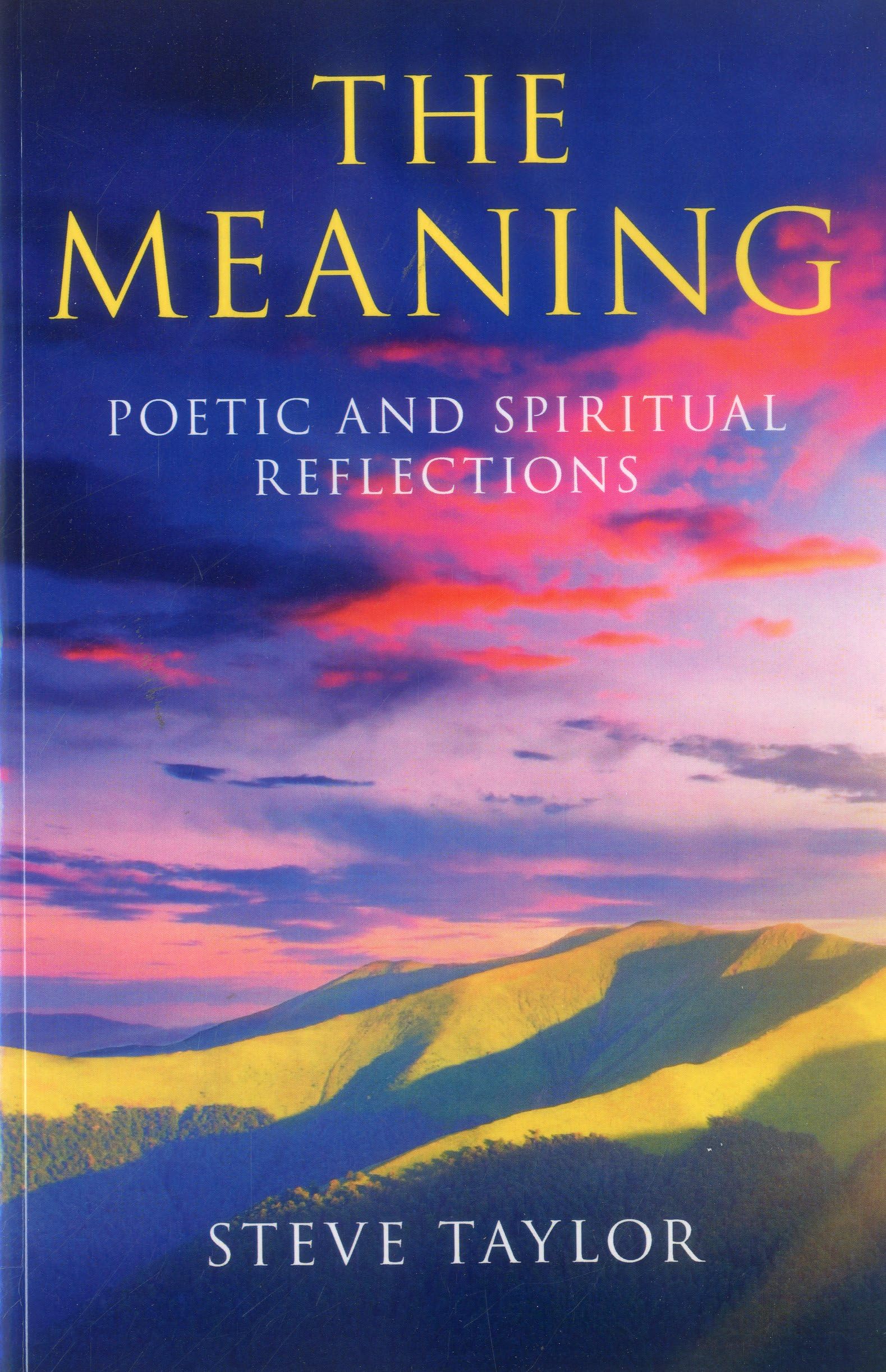The Meaning,Steve Taylor