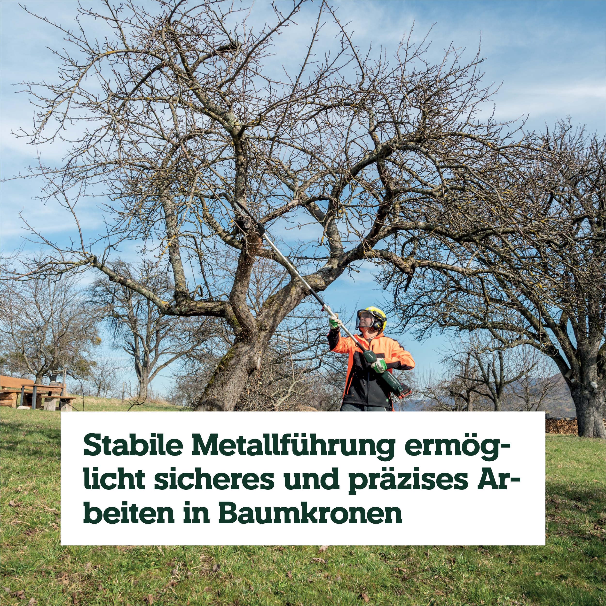metabo Hochentaster-Aufsatz MA-MS 25, 25 cm Schiene, 18 m/s Kette | Passend für MA 36-18 LTX BL Q, automatische Kettenschmierung, Quick-Schnellkupplung, ohne Akku und Ladegerät