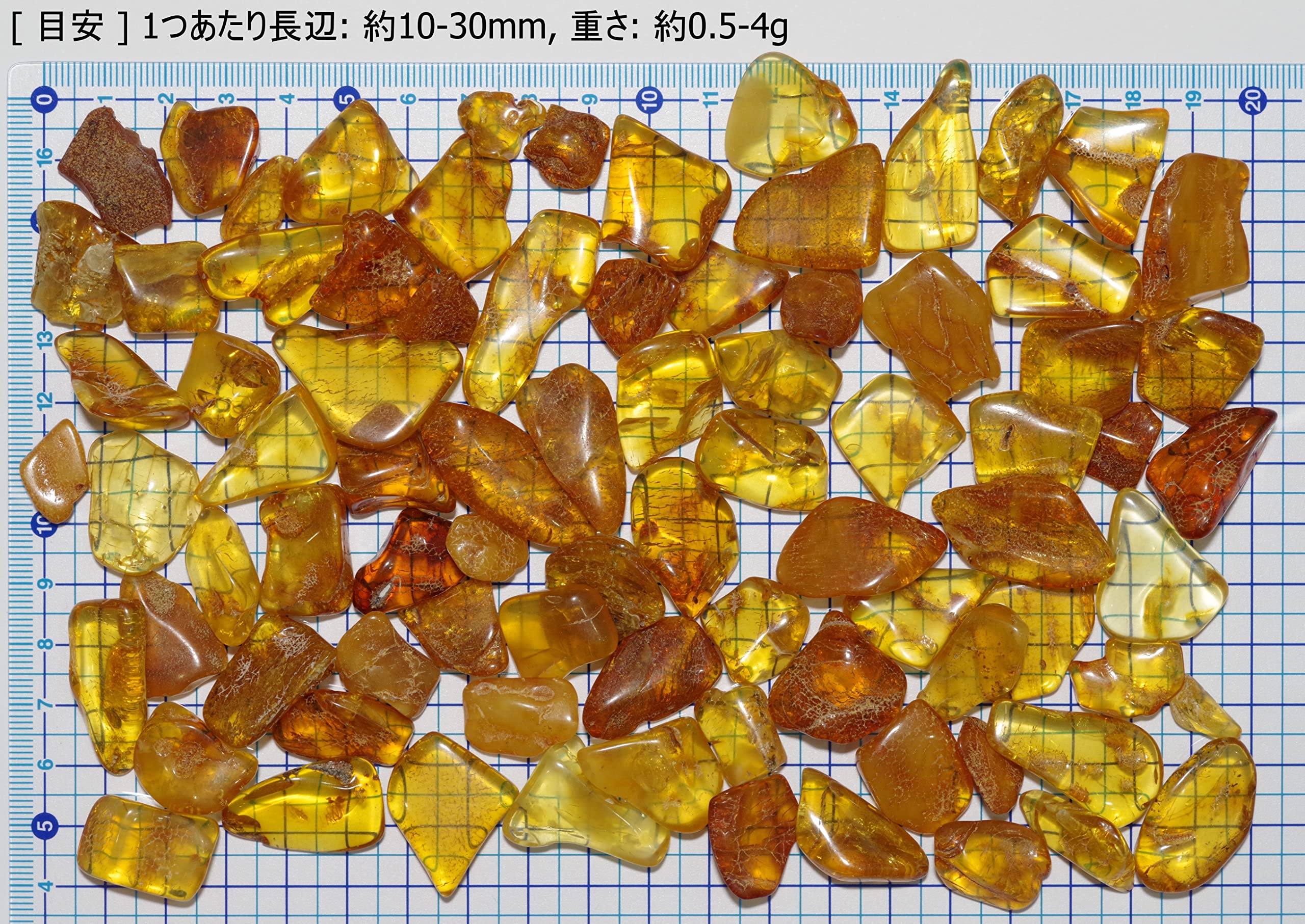 Amazon | [N2 stone Natural] 天然化石 琥珀 (コハク/amber) / 標本 