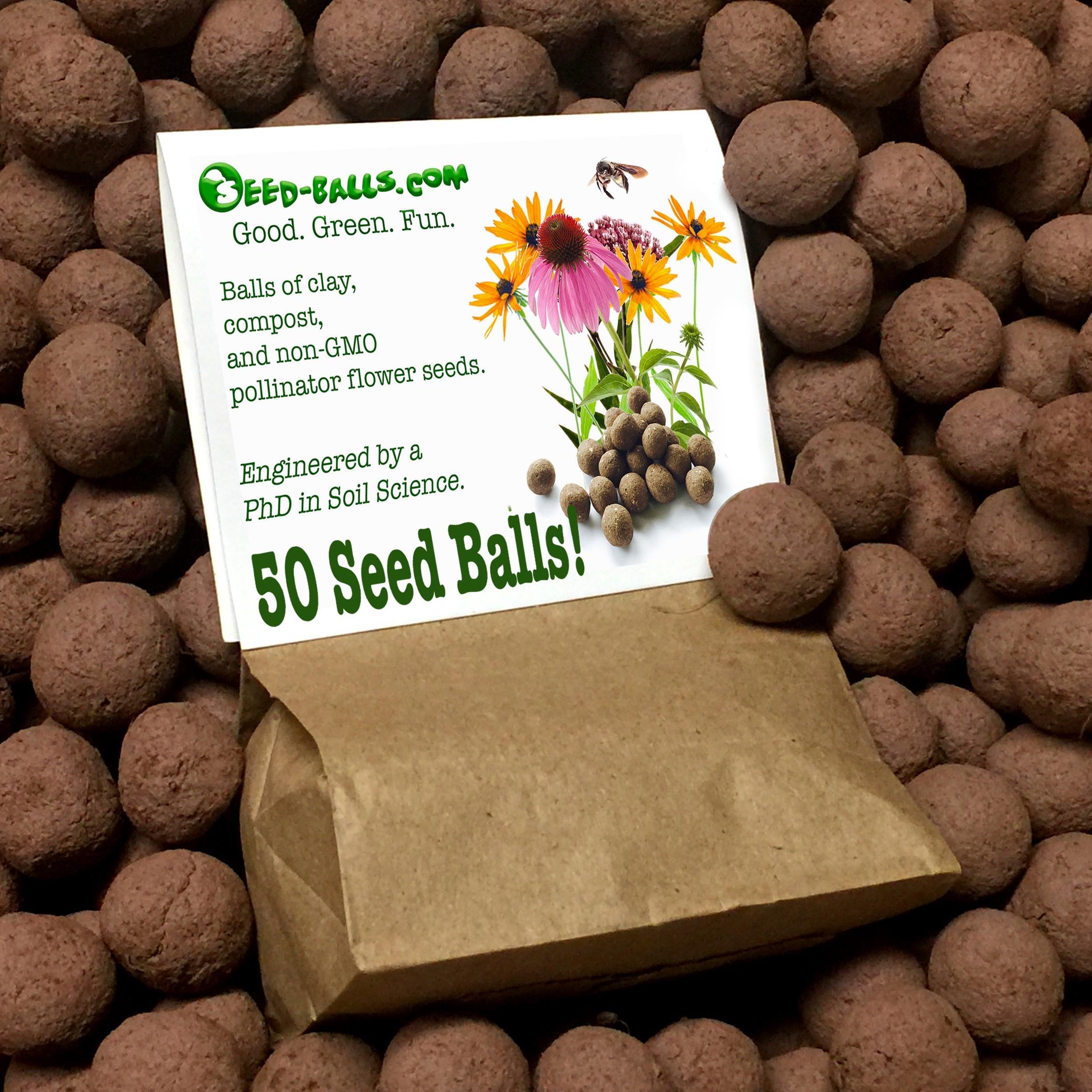 US Native Wildflower Seed Bombs for Pollinators (50 Pack). Regional Wildflower Mix Seed Balls for Guerrilla Gardening (Southeast)