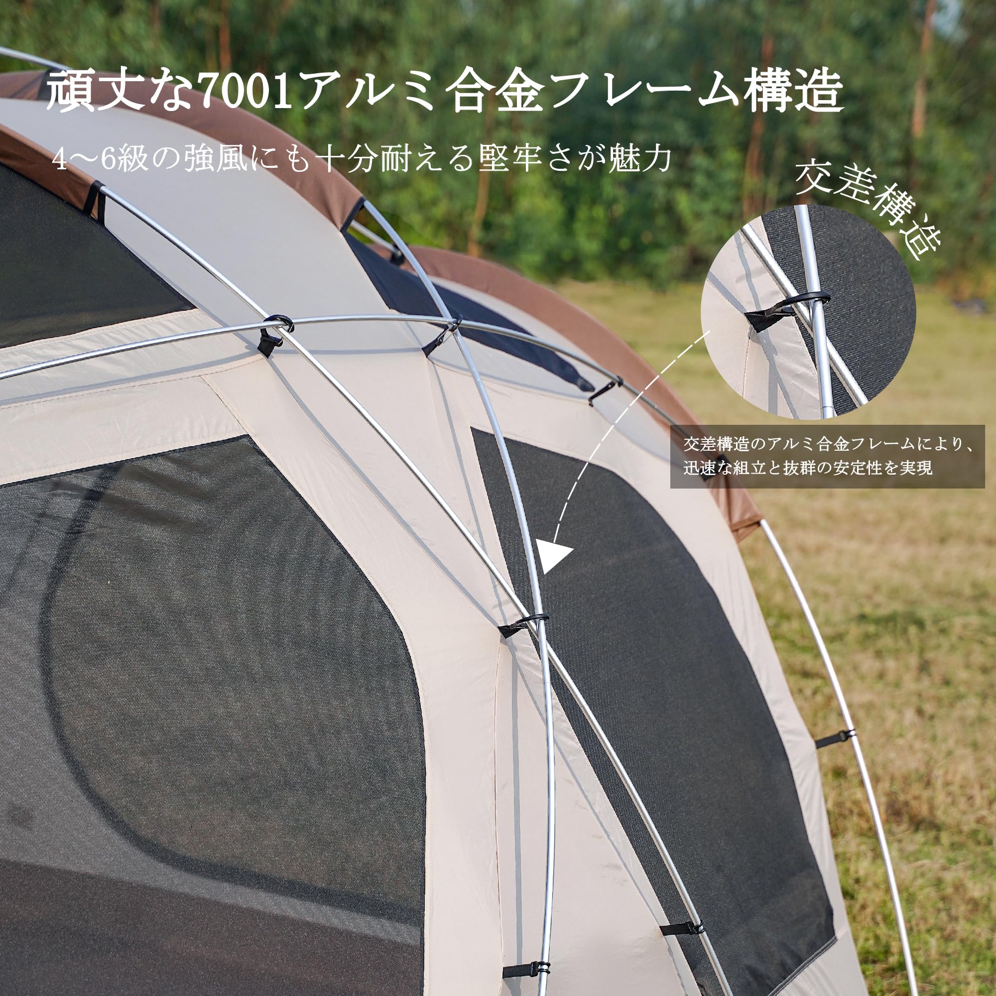 Amazon.co.jp: VIDALIDO ドームテント シェルターテント ridge tent 
