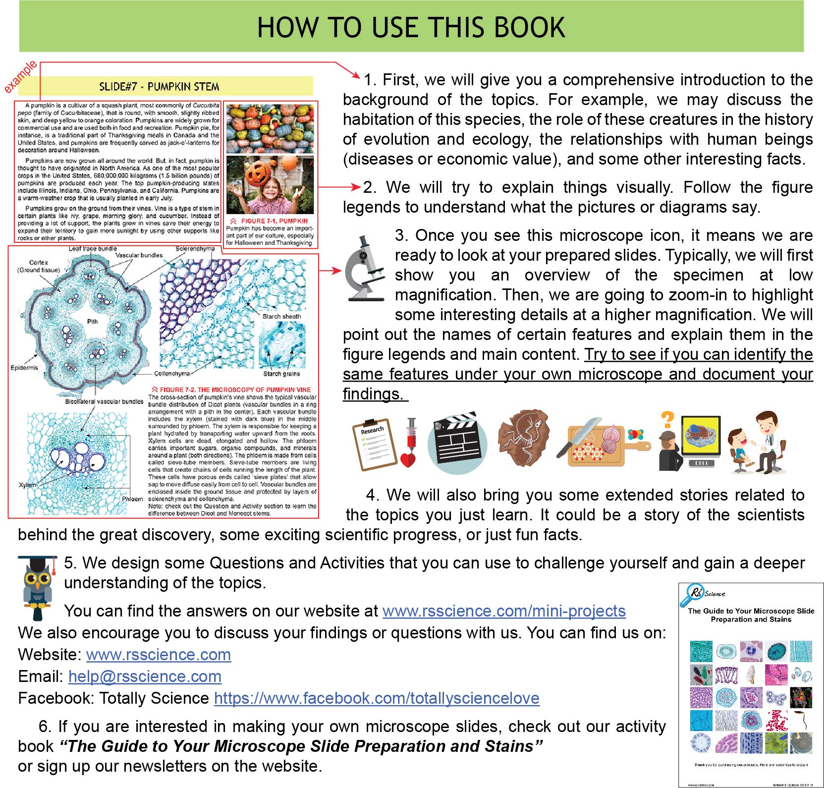 Rs' Science - 25 Microscope Prepared Slide Set for You to Learn The Beauty  of Biology with Printed Guide Book: Amazon.com: Industrial & Scientific