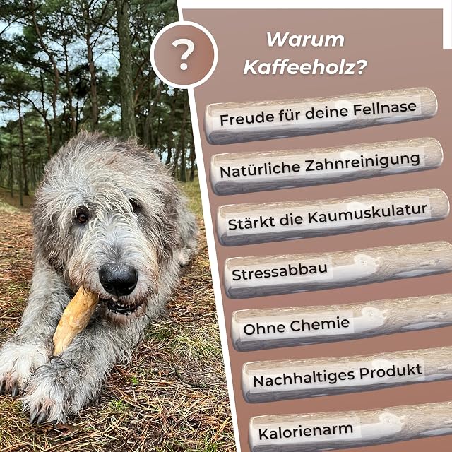 Foto 6 de 8 de Zoys Madera de café para perros, hueso masticable natural para perros en 5 tamaños