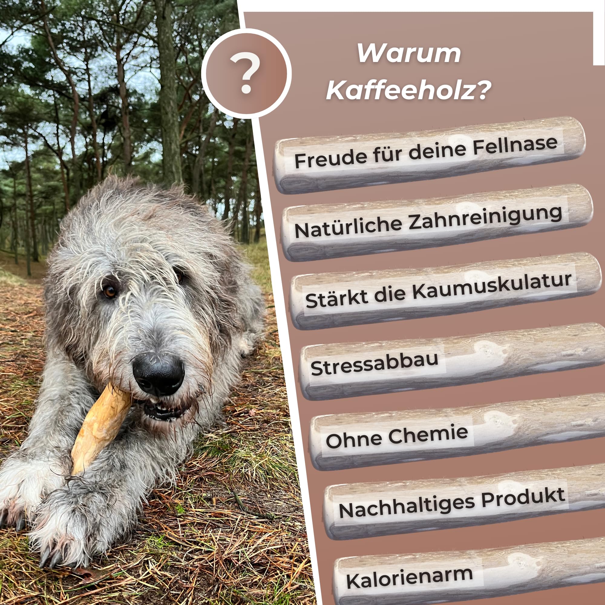 Osso Di Legno Di Caff&egrave; Per Cani - XL, Naturale Per Denti Sani