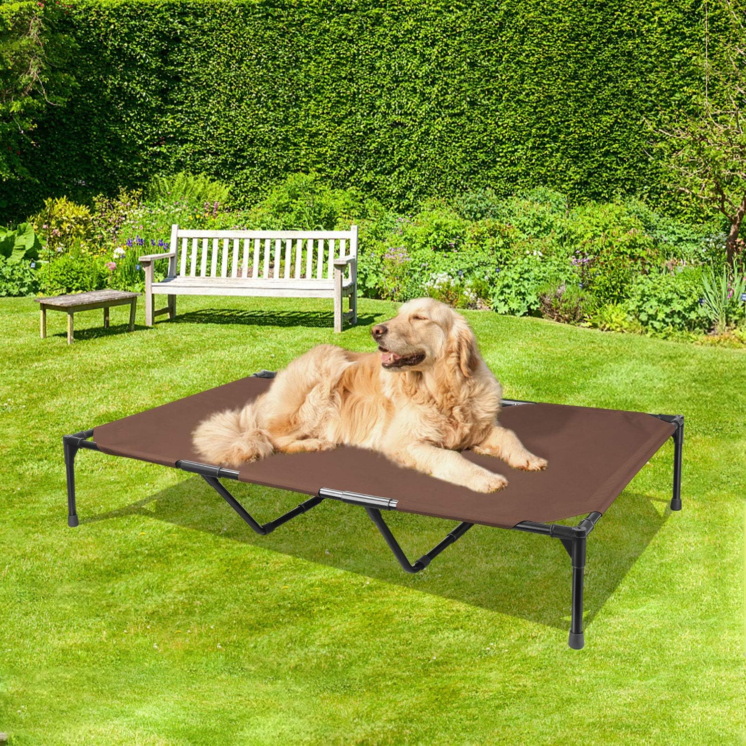 BABYLTRL Elevated Dog Bed Dog Cot with Mesh Center Raised
