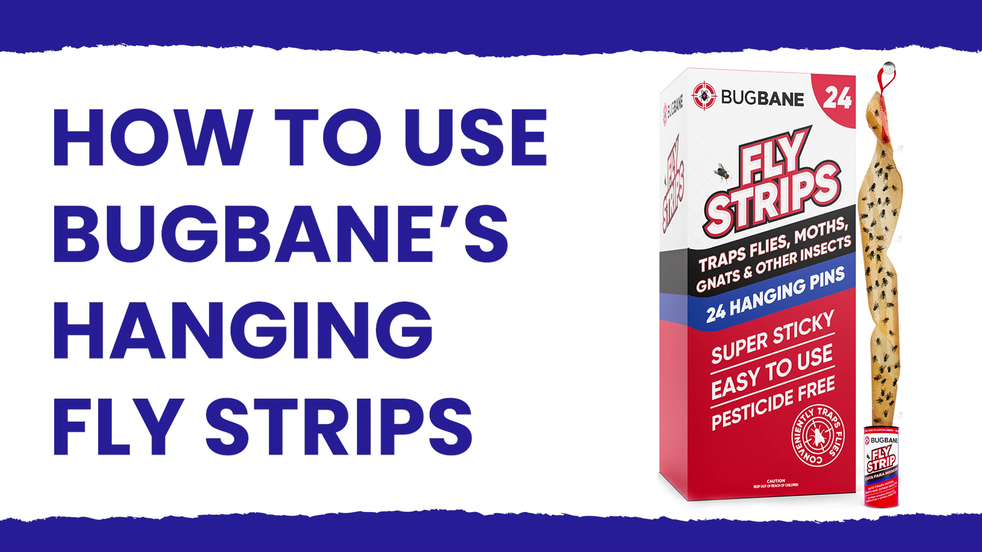 Watch How to Use BugBane's Fly Ribbons on Amazon Live