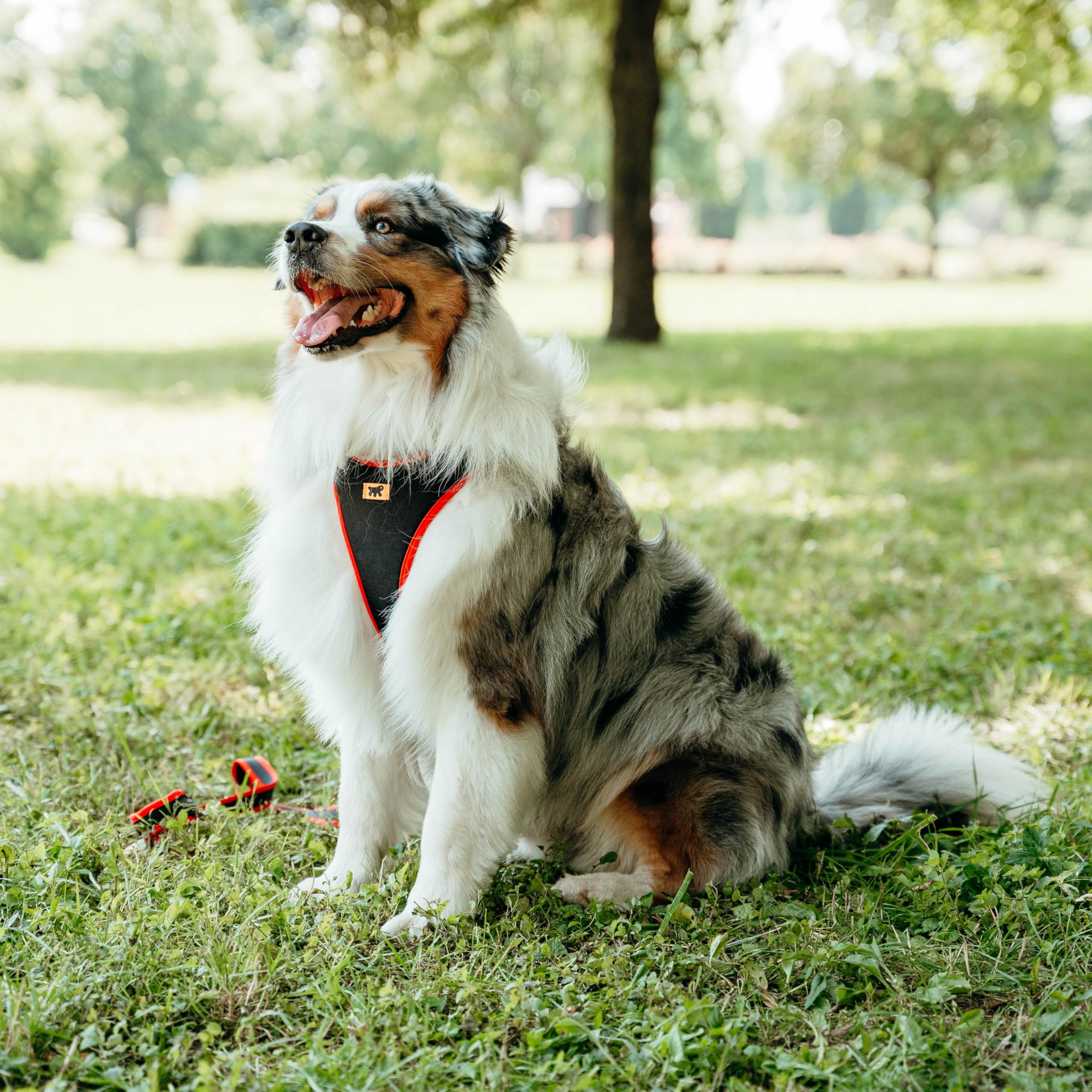 Ferplast Pettorina Cane Taglia Grande ERGOCOMFORT Large, Pettorina Cane Regolabile, Comoda, Imbottita, Chiusura a Doppia Microregolazione, Sgancio Rapido, Rosso