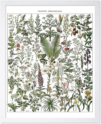 Miniatura 175 de Poster Master Póster vintage de orquídea, estampado de flores retro, arte de pared de plantas exóticas, arte botánico, regalo para hombres y