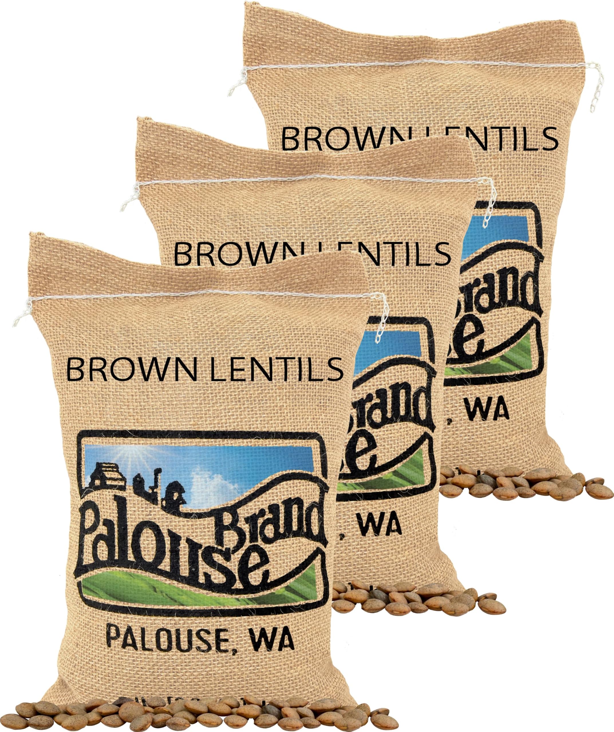 Palouse Brand Certified Glyphosate Residue Free Small Brown Lentils | 15 LBS | Family Farmed in Washington State | Non-GMO Project Verified | Kosher |