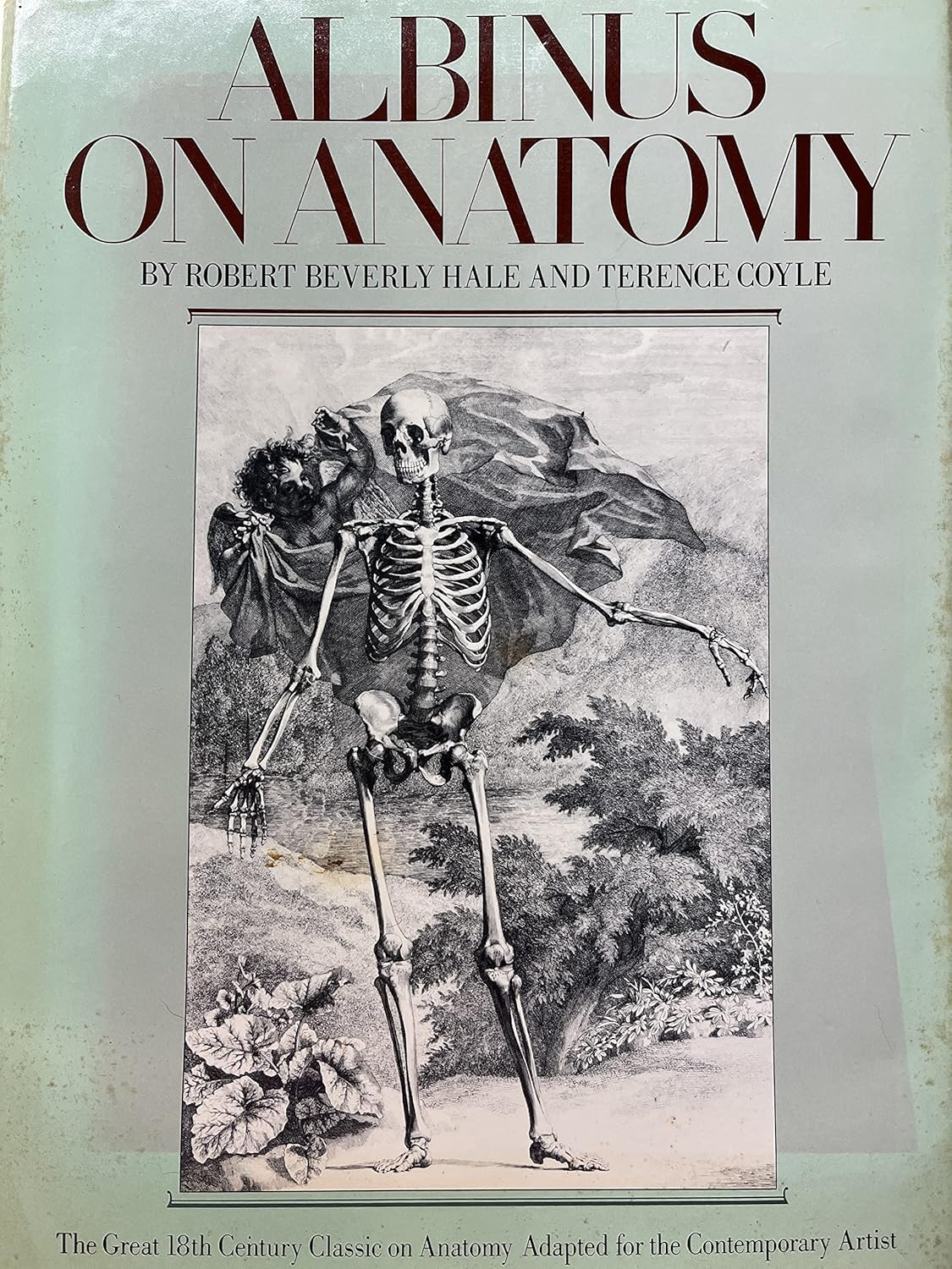 Albinus on Anatomy BERNARD SIEGFRIED ALBINUS 9780273014447 Amazon