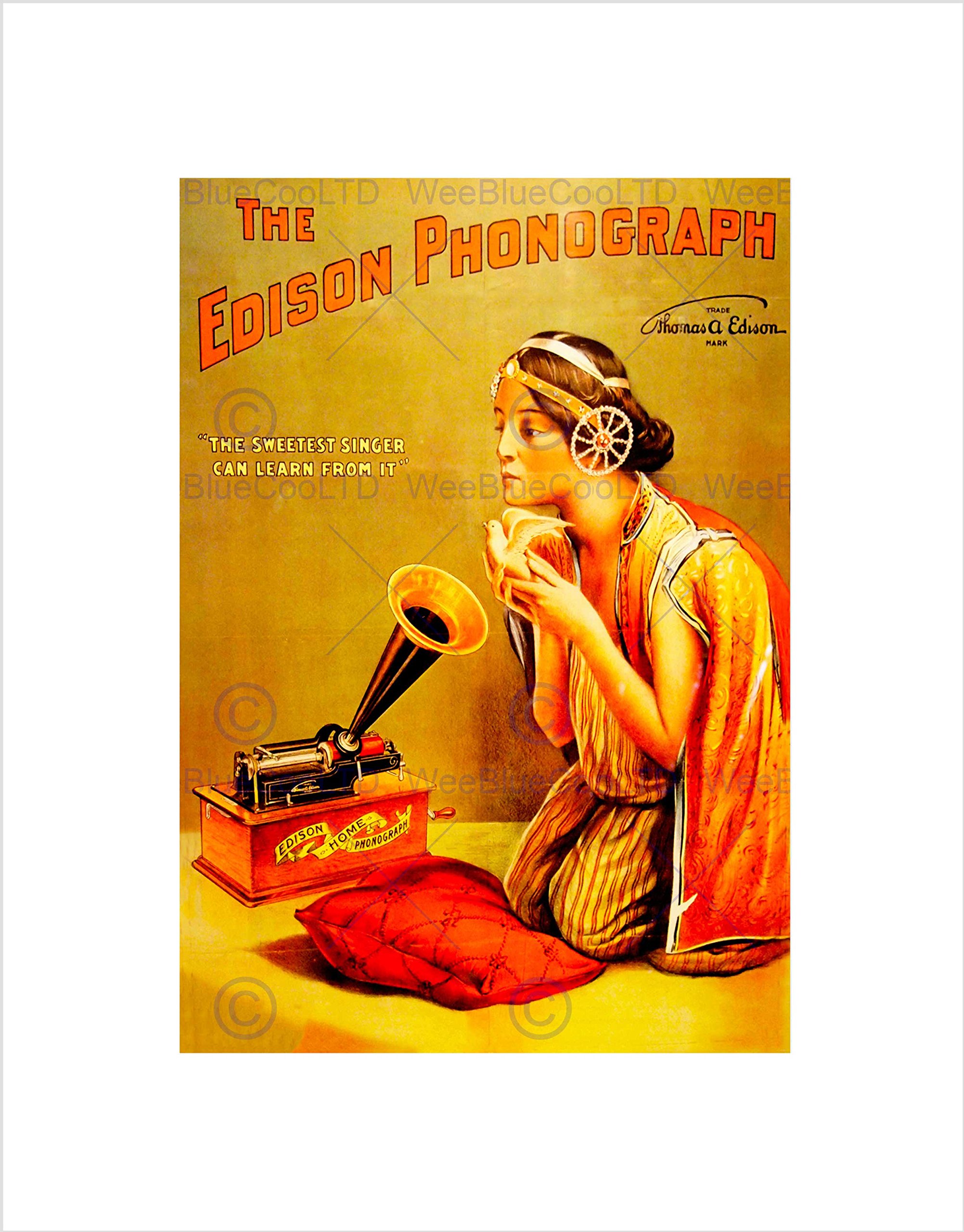 Music Ad Edison Phonograph Songbird Girl Horn Pillow Wall Art Print