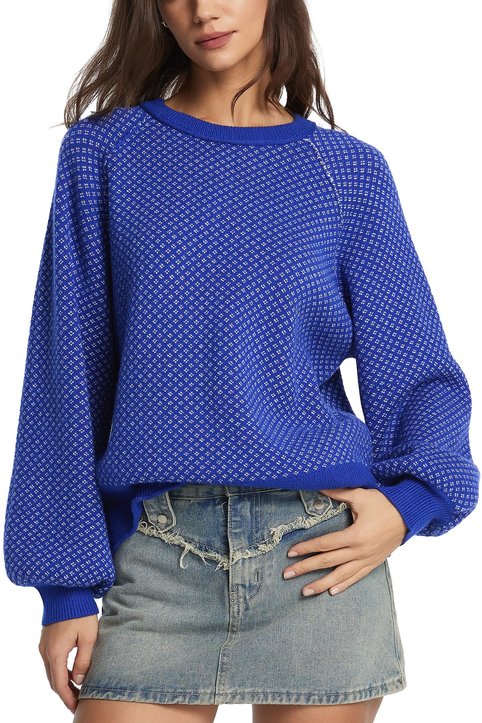 D-Sun Crew Neck Sweater for Women Fall Winter Casual Long Lantern Sleeve Pullover Sweater Chunky Color Block Knit