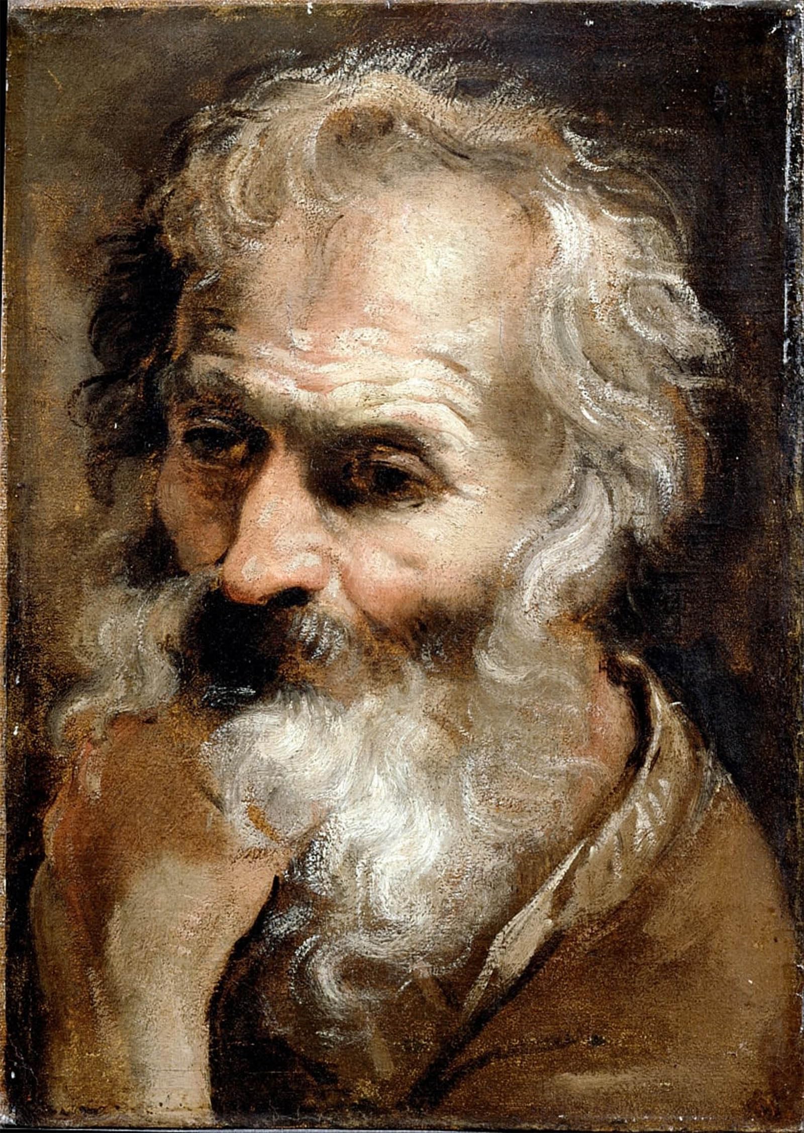 SERENDIPITP Aesthetic Poster Photo Wall Print Retro Picture Head of an Old Man by Annibale Carracci Modern Wall Artwork for Home Decor 60x90cm