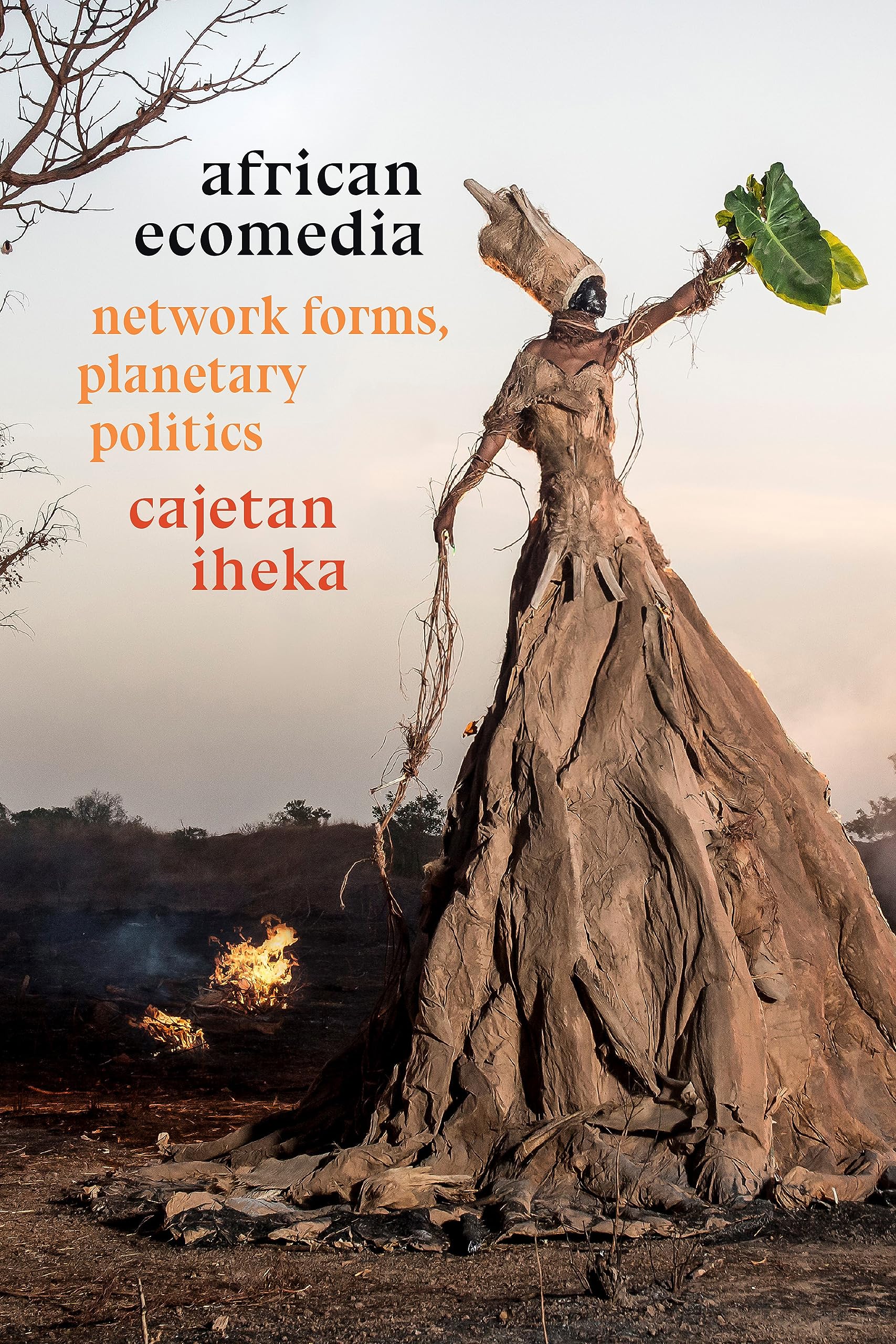 African Ecomedia by Cajetan Iheka (Paperback Book)