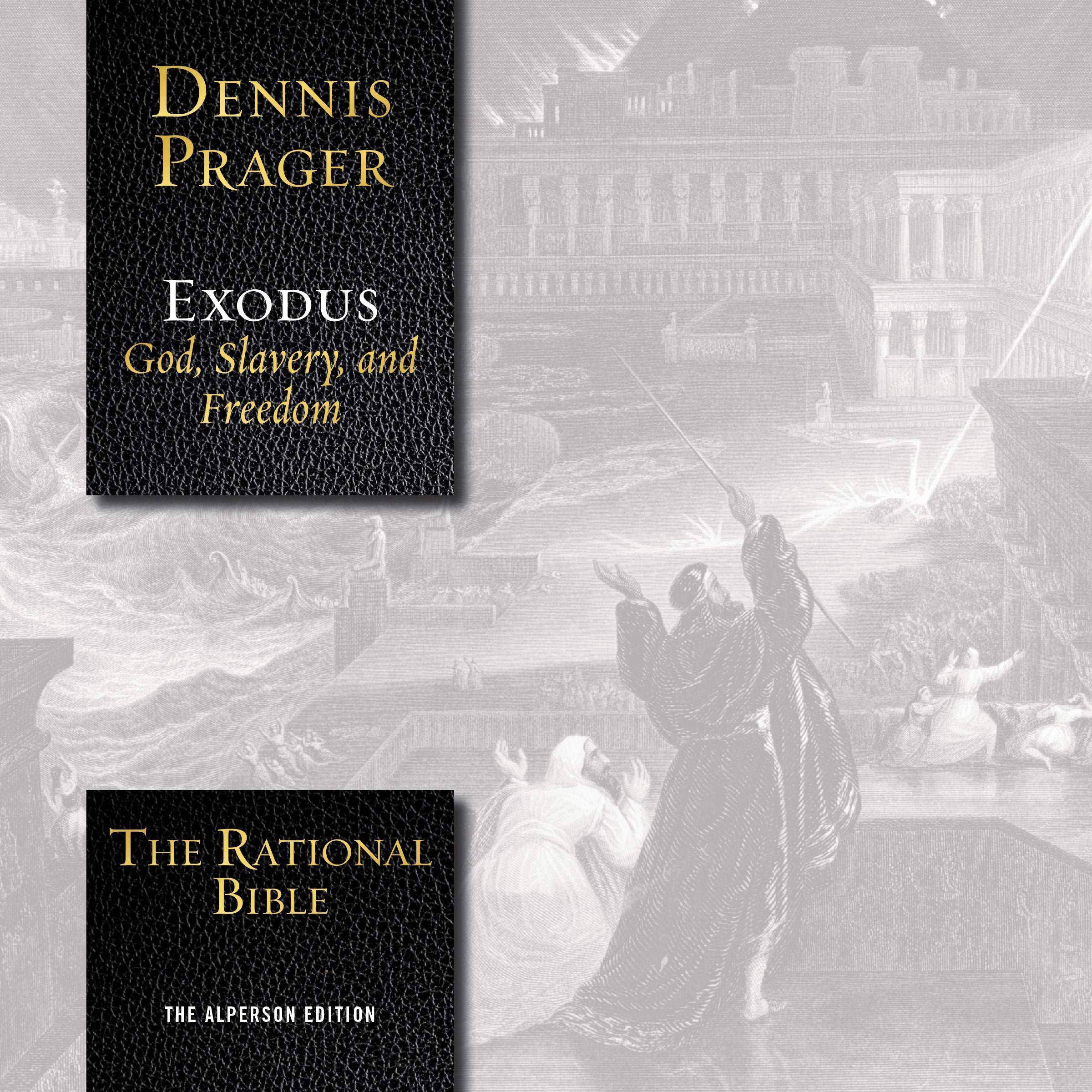 Cover art for The Rational Bible: Exodus