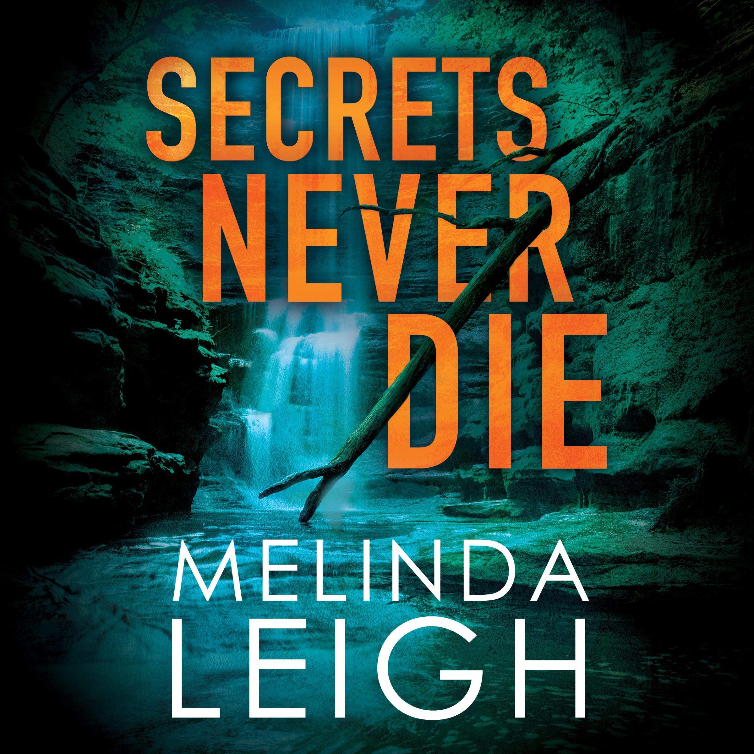 Cover art for Secrets Never Die