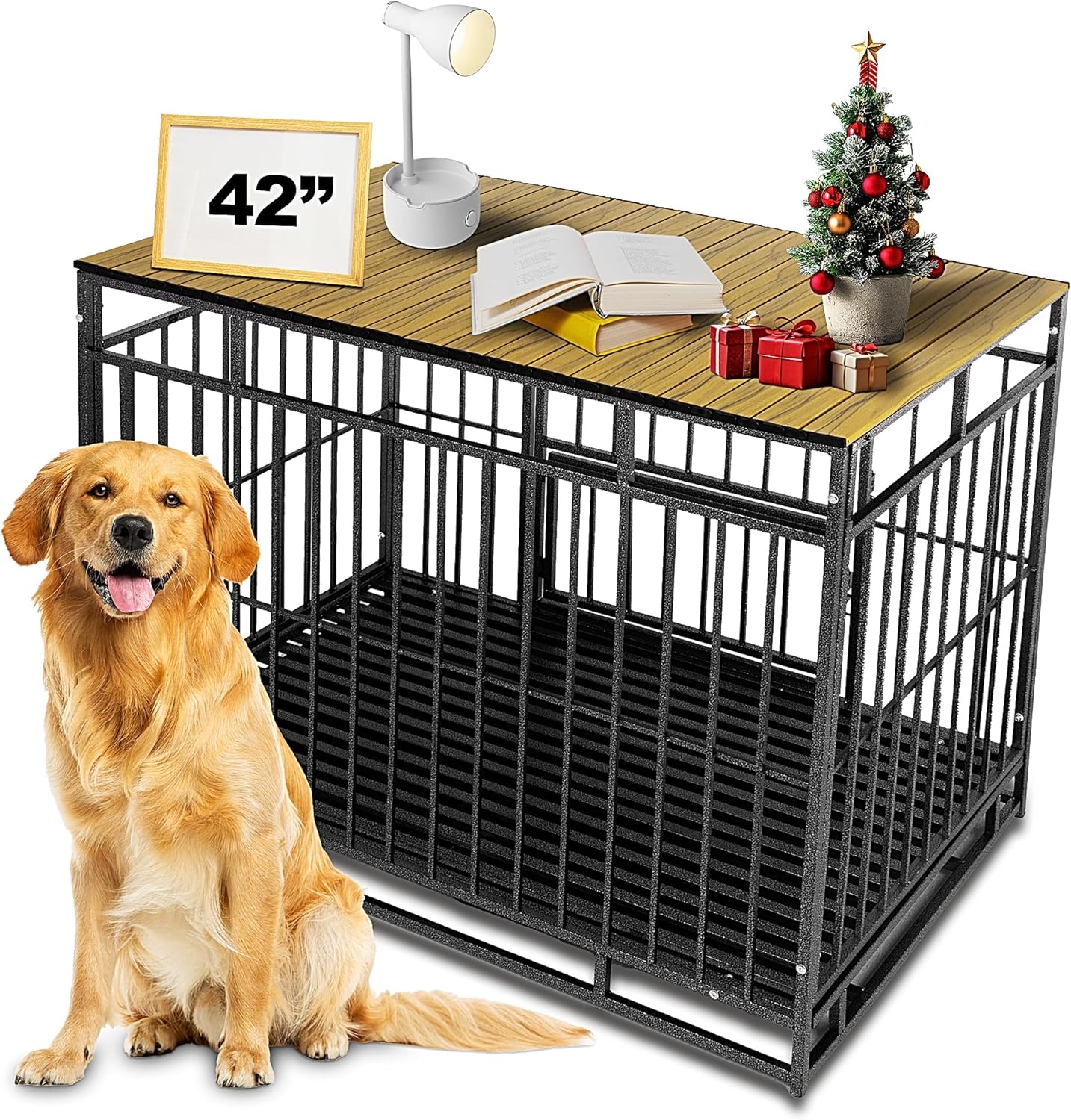 https://m.media-amazon.com/images/I/91+MvgSisUL._AC_SL1500_.jpg