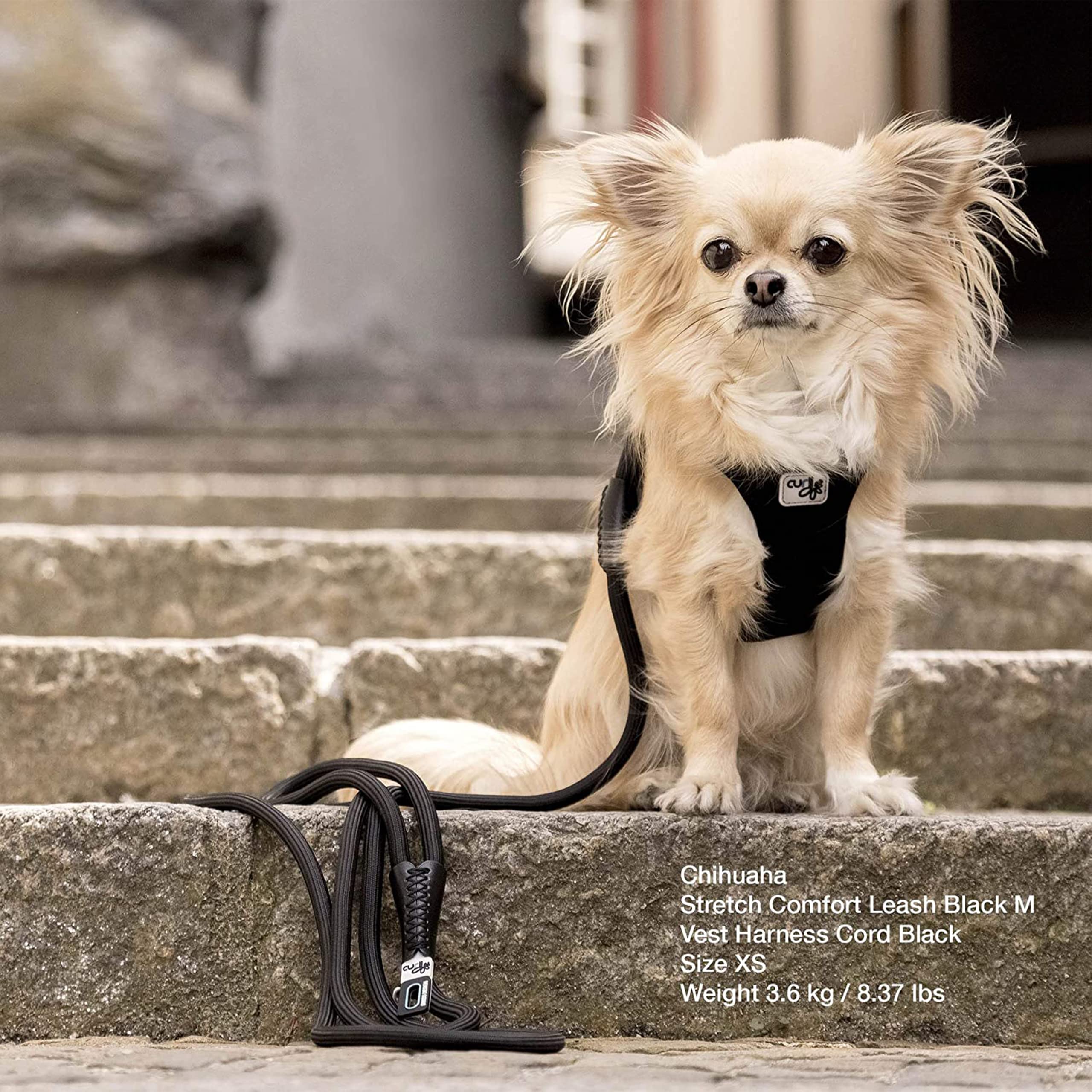 Curli Stretch Comfort Leash — Sun Orange, Medium — alternate product view 3
