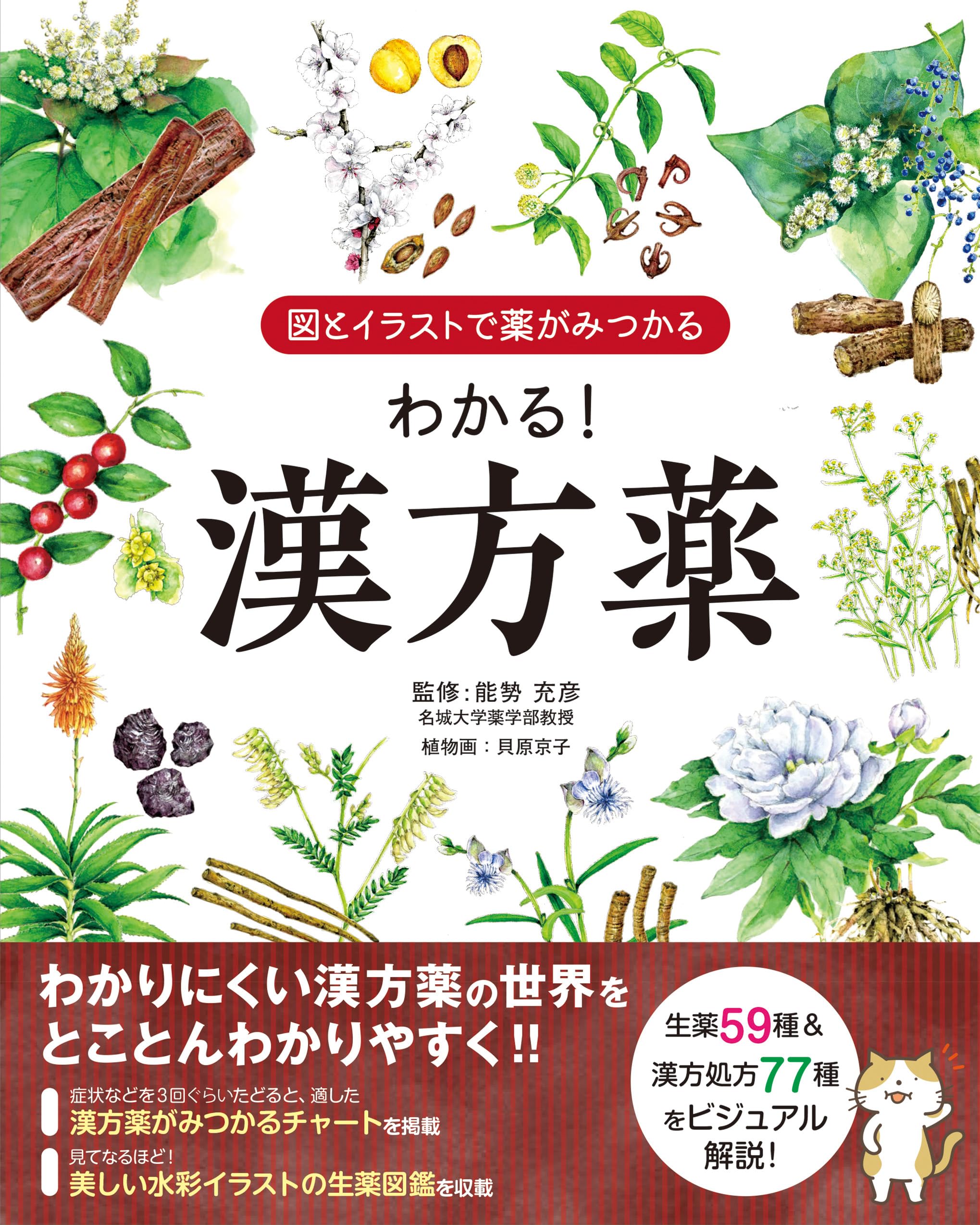 図とイラストで薬がみつかる わかる！漢方薬 | 能㔟 充彦, 貝原 京子 