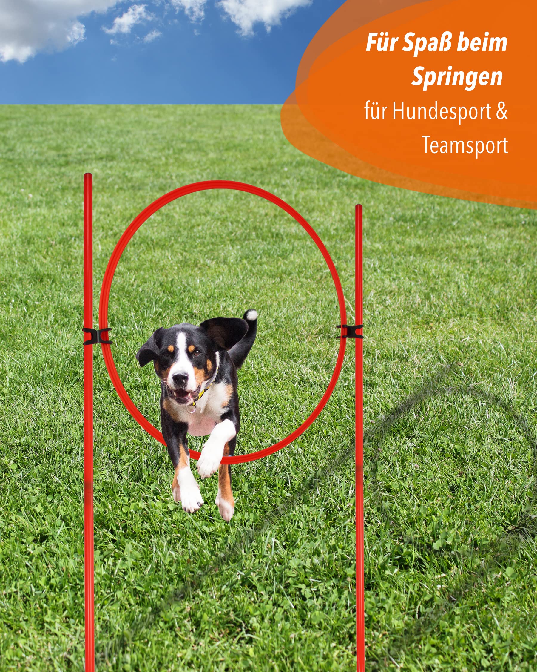 Kombi-Ring-Hürdenset – Ring ø 65 cm & Stangen 180 cm – Training der Sprungkraft & Koordination – mit befüllbarem X-Standfuß – Agility-Hürde für Fußball, Leichtathletik & Hundesport