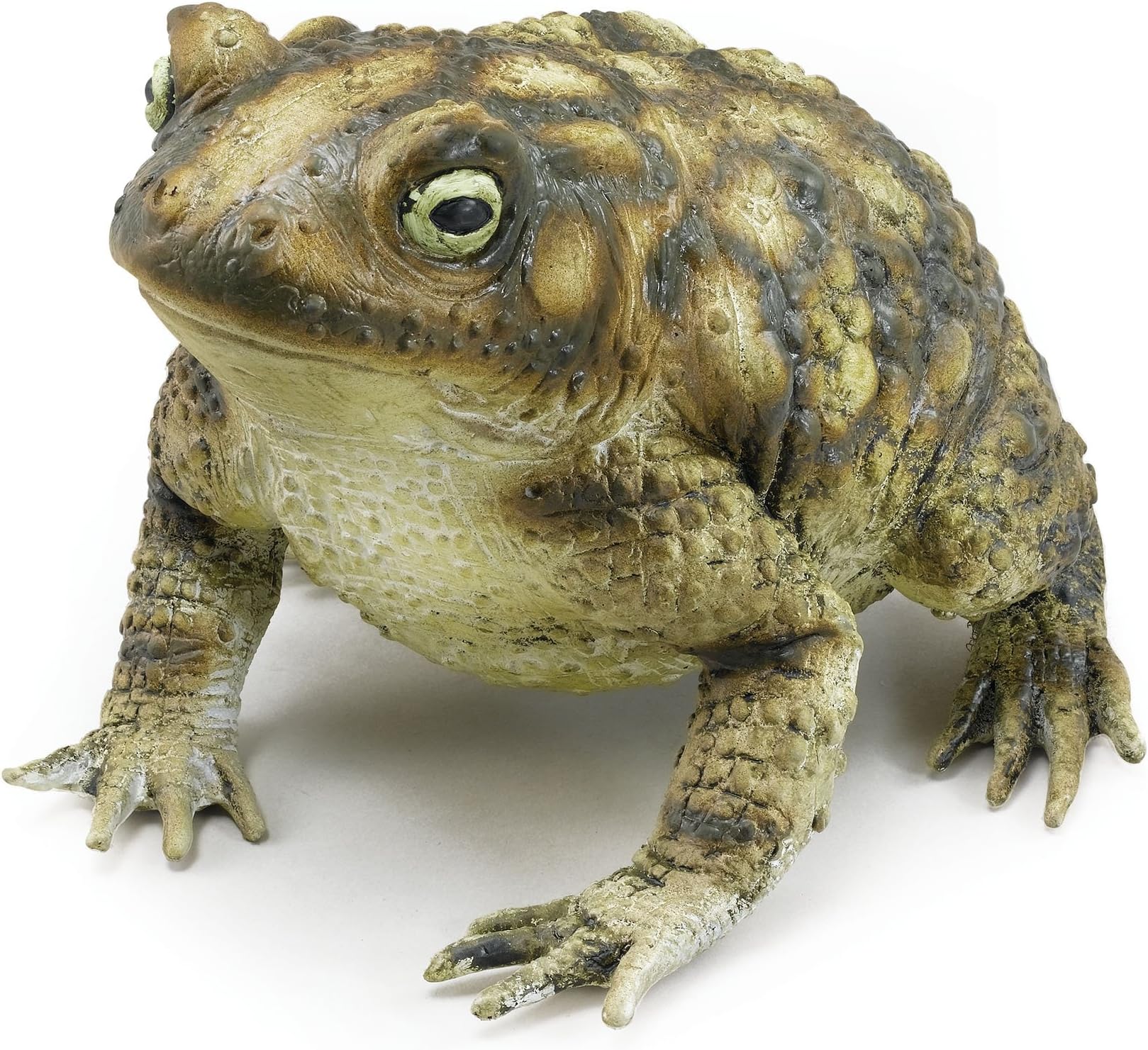 Bristol Novelty AK049 Rubber Toad Prop, Green/Brown