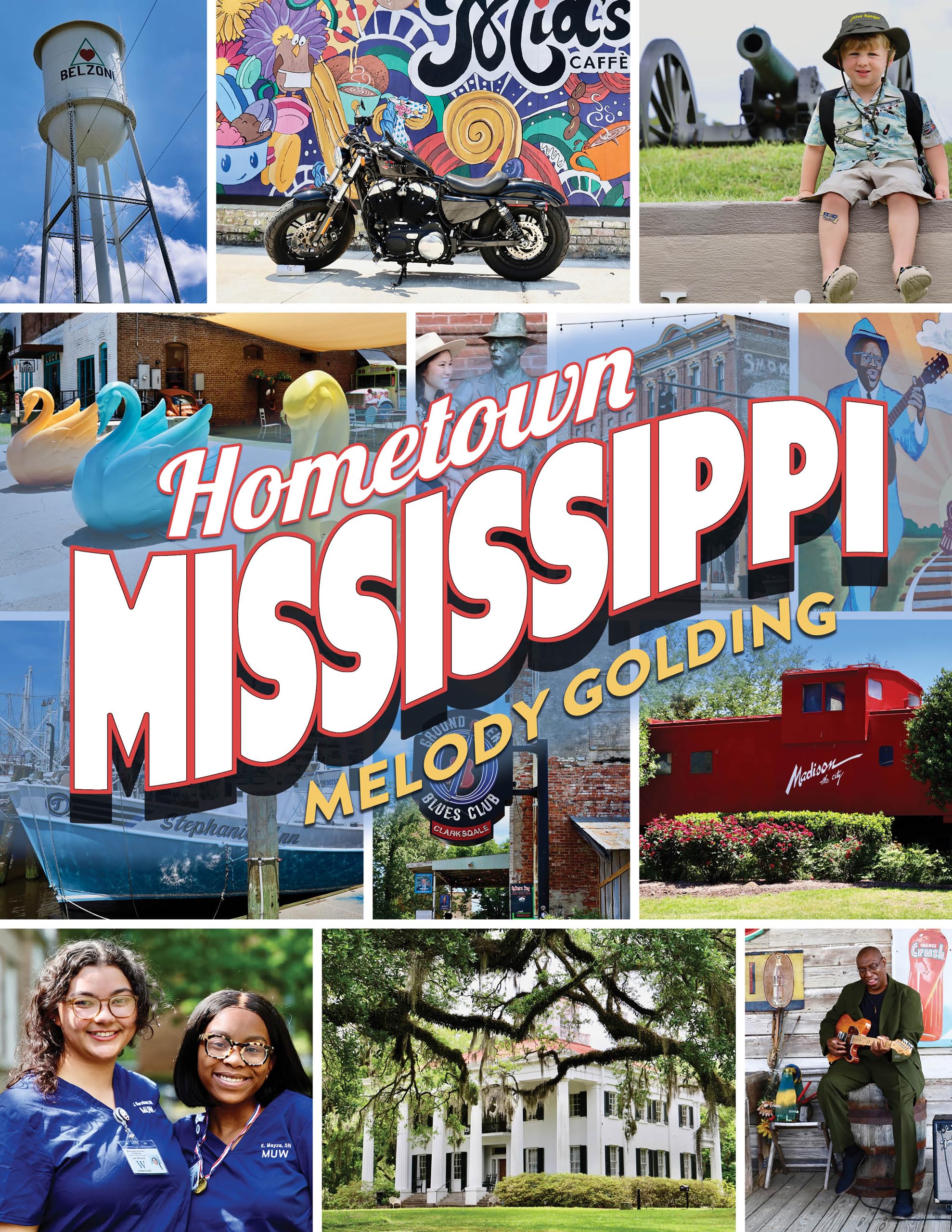 Hometown Mississippi roman historique anglais idéal pour lecture soirée détente