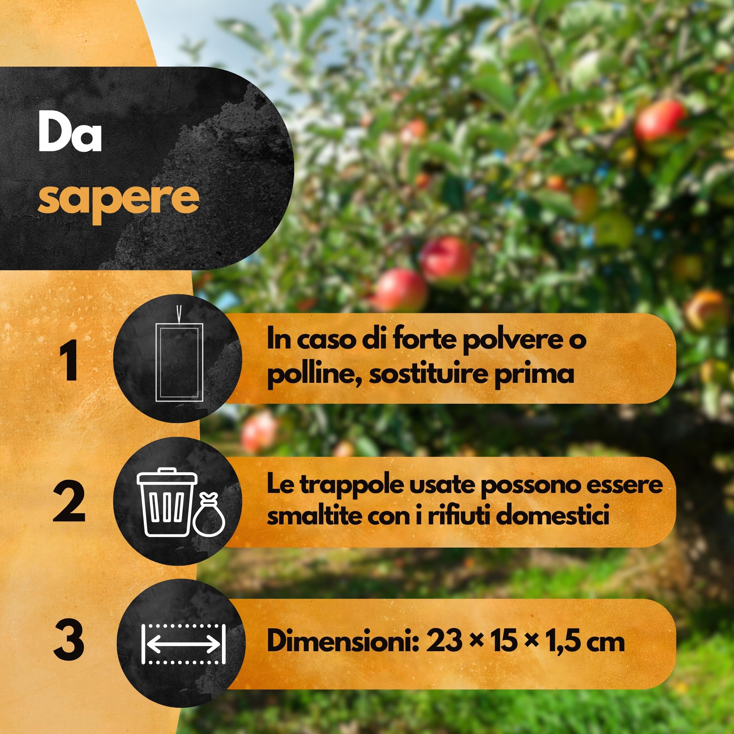 Panteer Trappola per carpocapsa – 3 Pezzi – con Cavo – Trappole a feromoni per melo e Pero – Monitoraggio Cydia pomonella – Fino a 8 Settimane – Senza Chimica – per Alberi da frutto