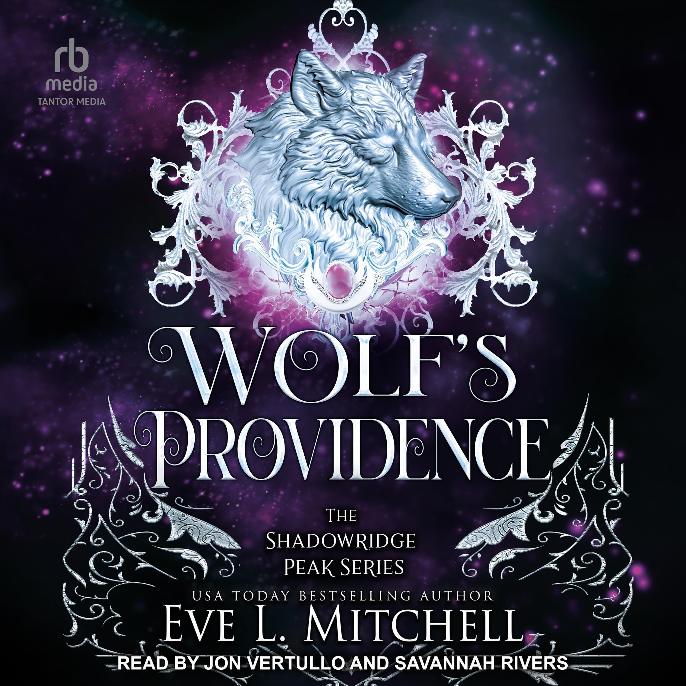 Cover art for Wolf's Providence