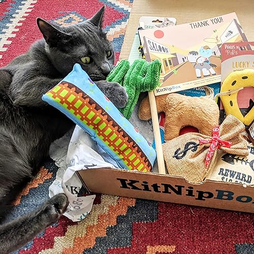 KitNipBox Monthly Cat Subscription Box of Cat Toys, Treats and