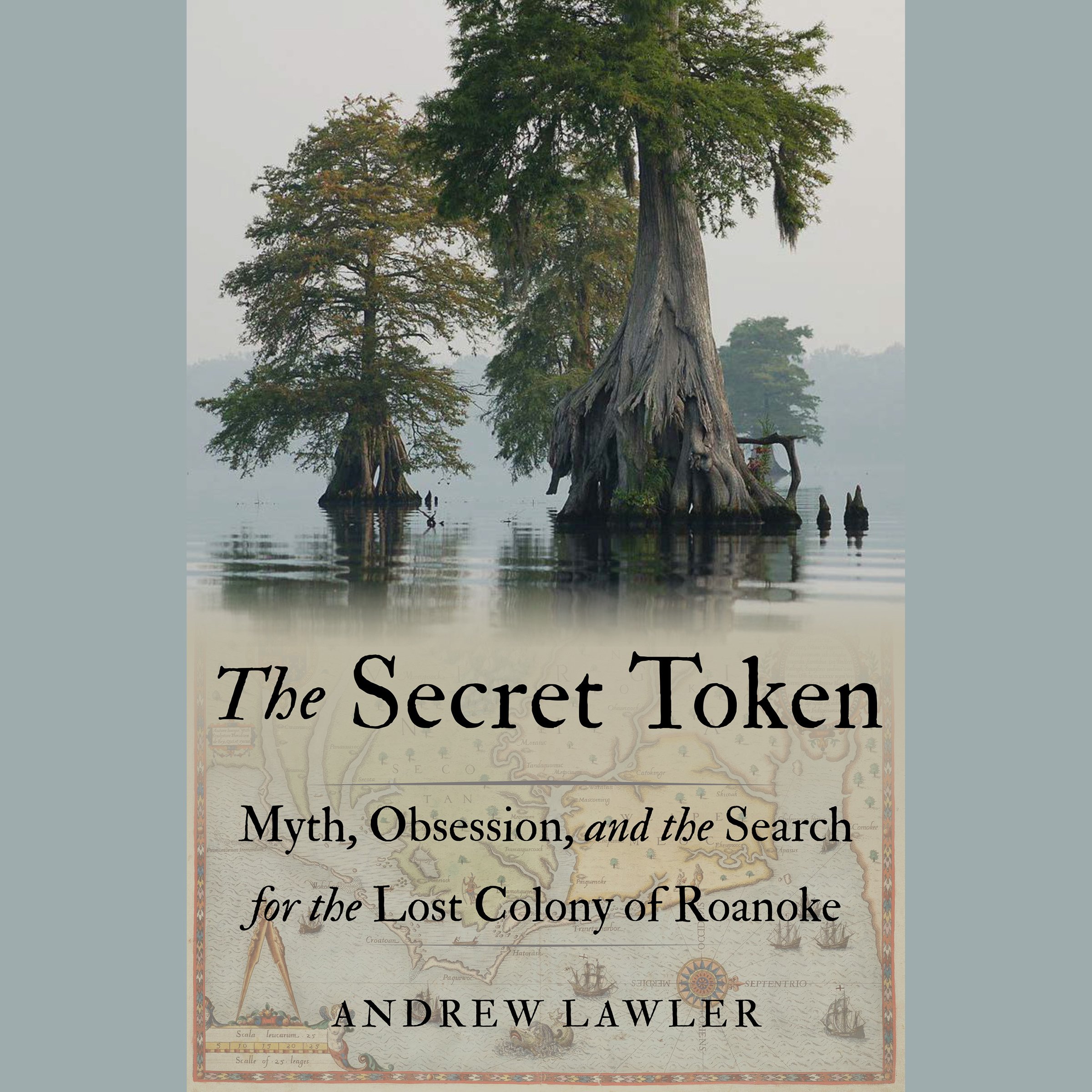 Cover art for The Secret Token