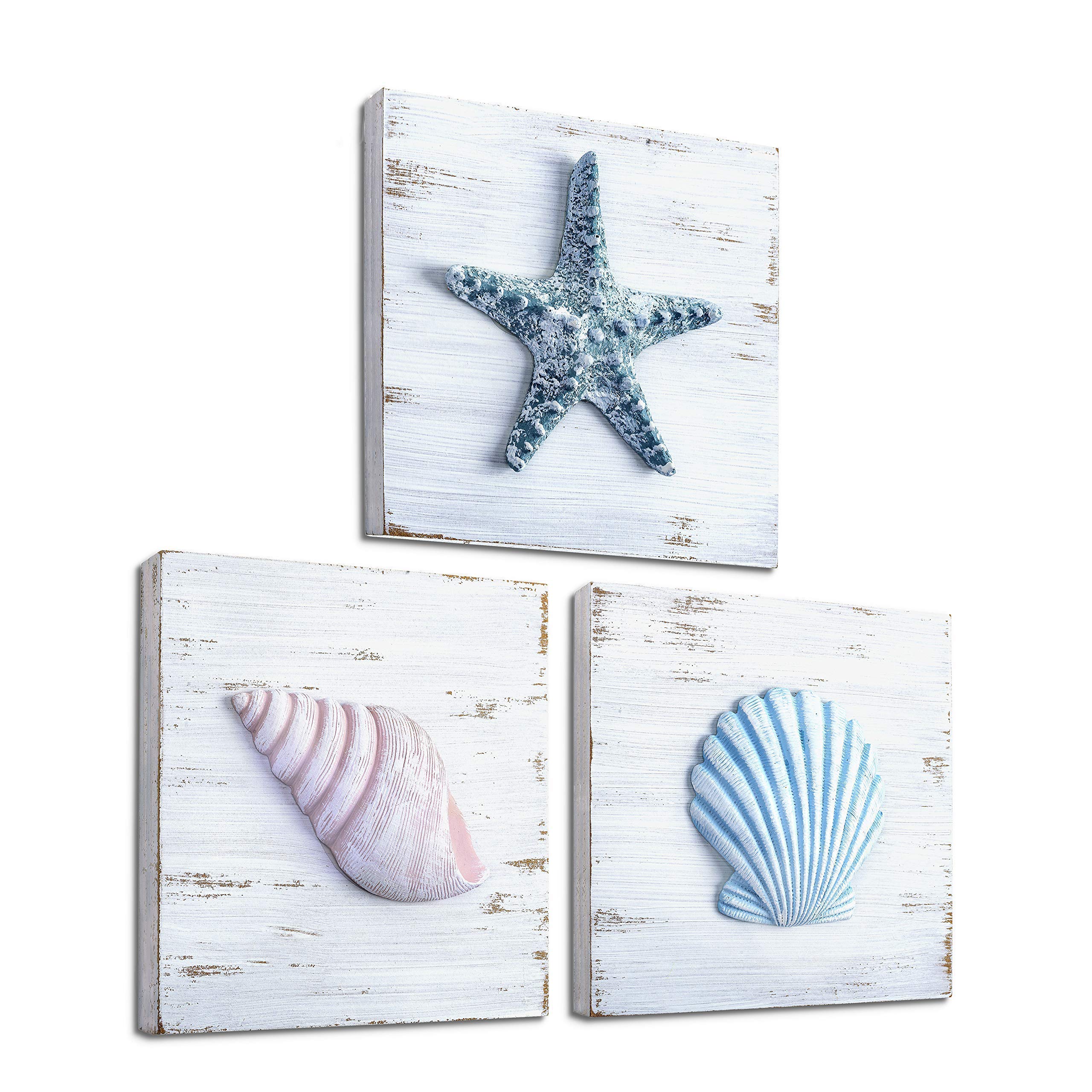 Tideandtales Beach Theme Seashell Wall Decor Set Of 3 Shells And Starfish Beach Decor For Bathroom Bedroom Or Living Room Rustic Coastal Decor Beach Decorations For Home Beach